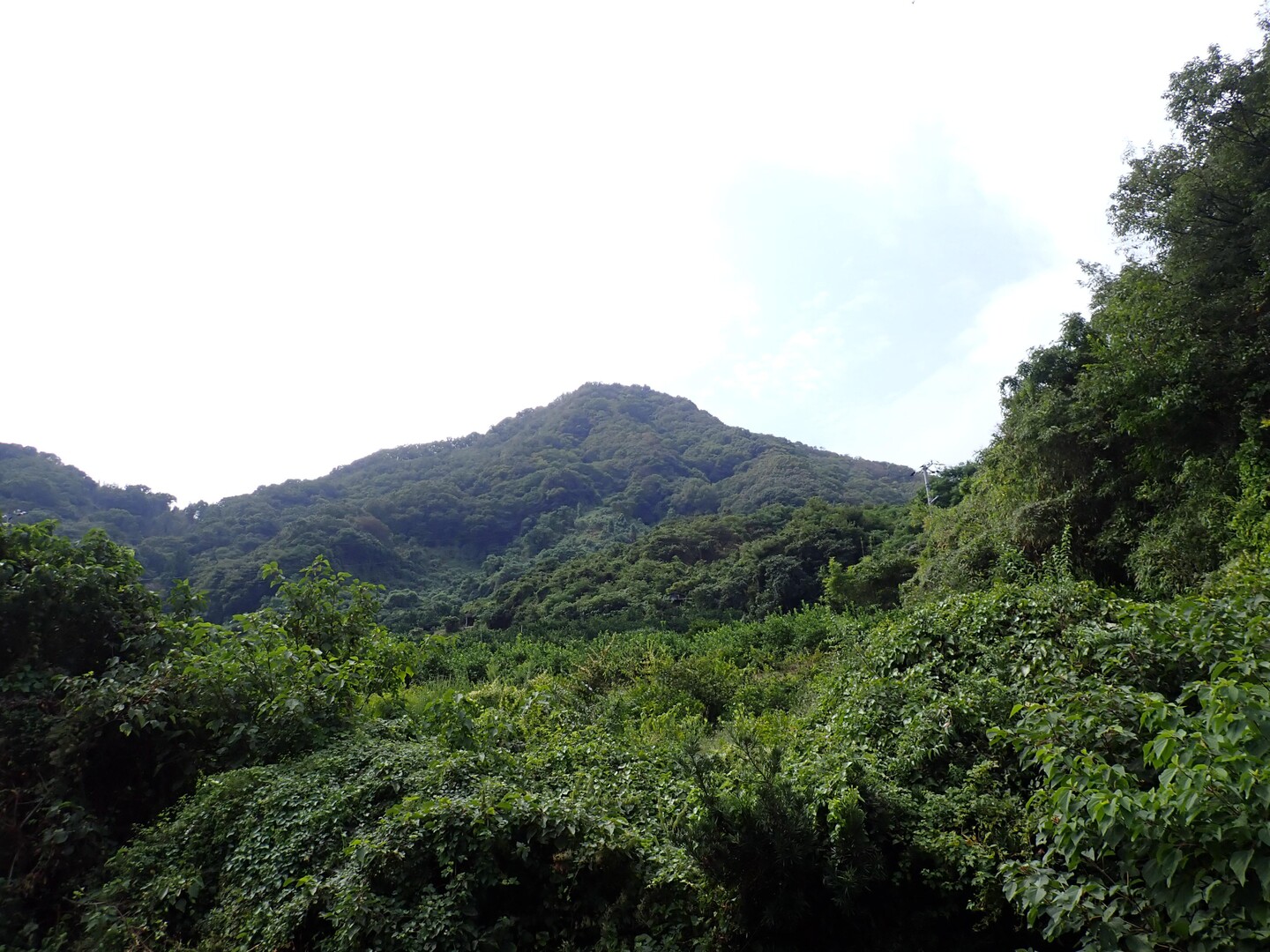 三本榎 / 環境調査員さんの瀬戸内しまなみ海道（南エリア）の活動日記 YAMAP / ヤマップ