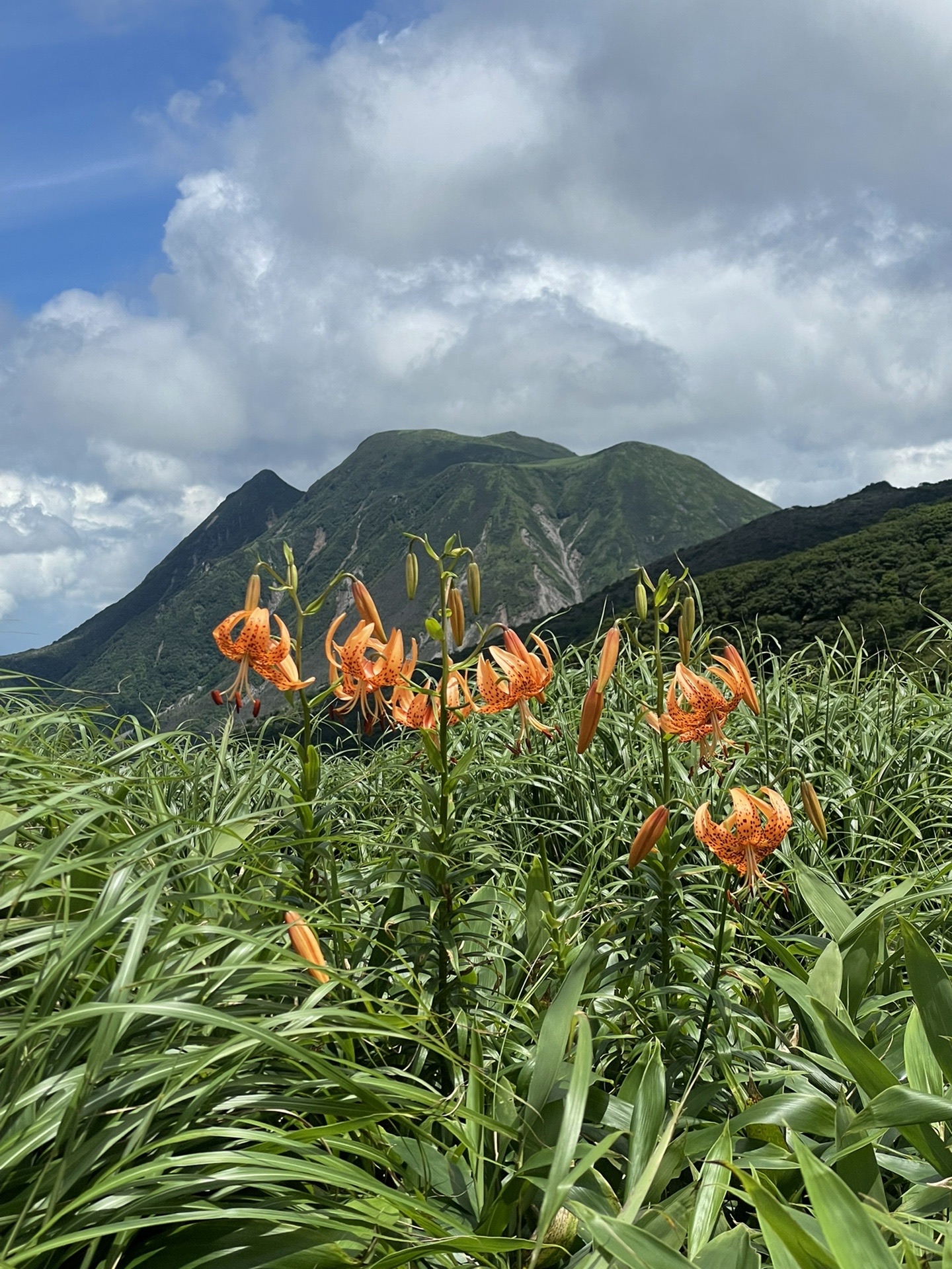 夏の久住山に現れた蜃気楼 Najiさんの九重山 久住山 大船山 星生山の活動データ Yamap ヤマップ