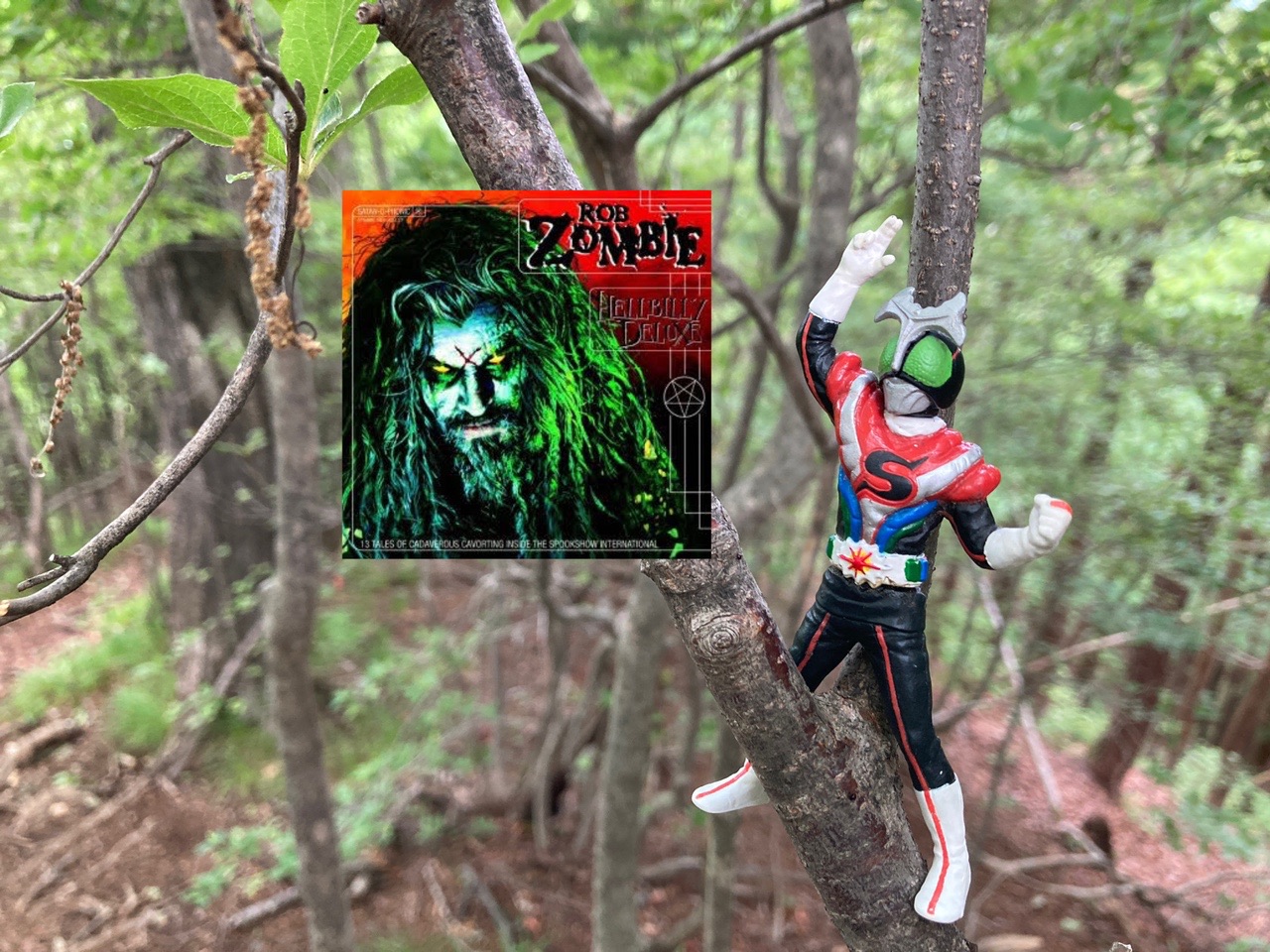 仮面ライダーストロンガーとロブ ゾンビで鳴虫山 ピスタチオ割れたさんの鳴虫山 火戸尻山の活動データ Yamap ヤマップ