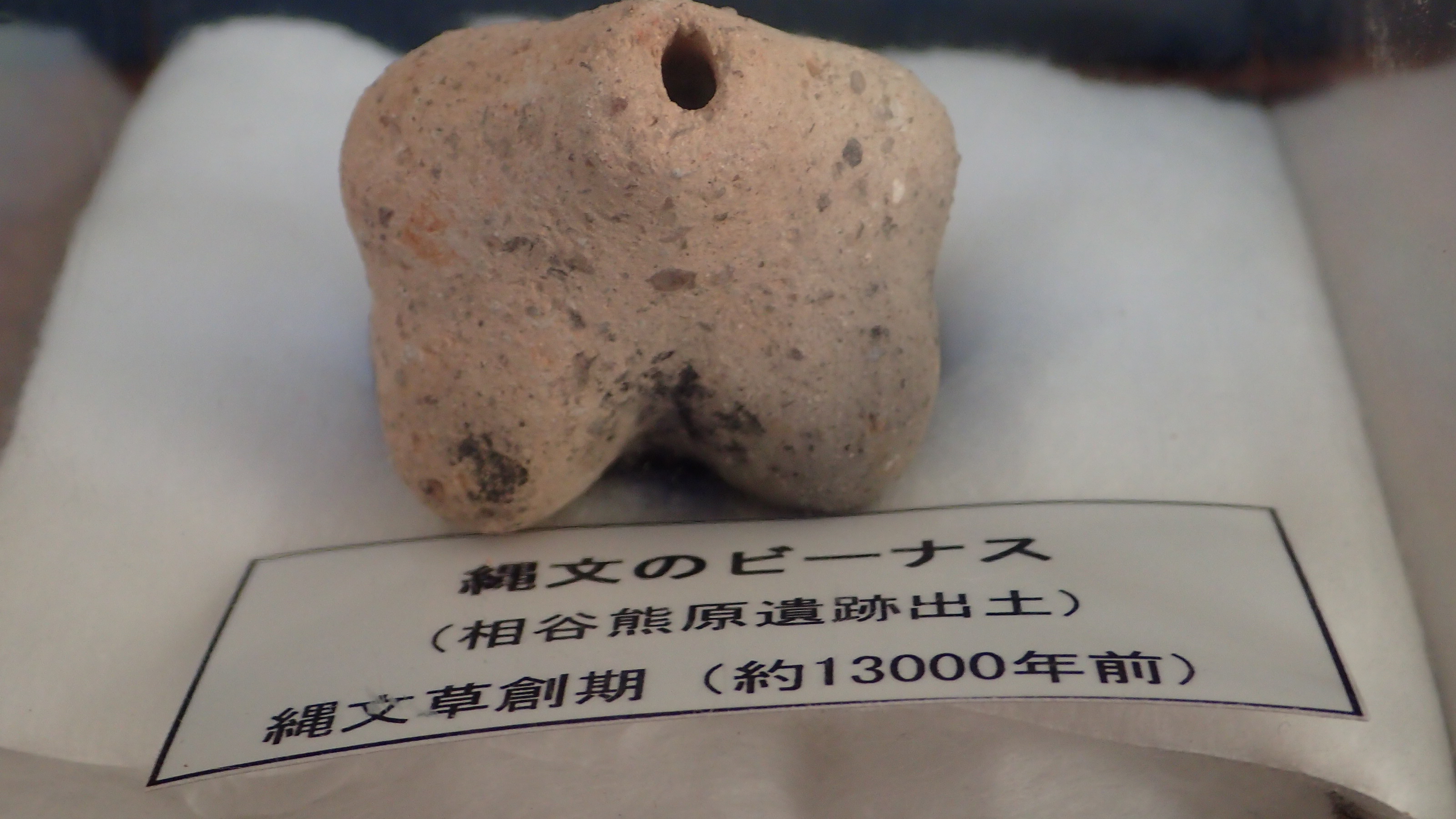 サクッと朝駆け竜ヶ岳 赤い羊に丸い山 久々の再会に偶然の再会 富士山見えてた Pewa Lakeさんの竜ヶ岳の活動日記 Yamap ヤマップ