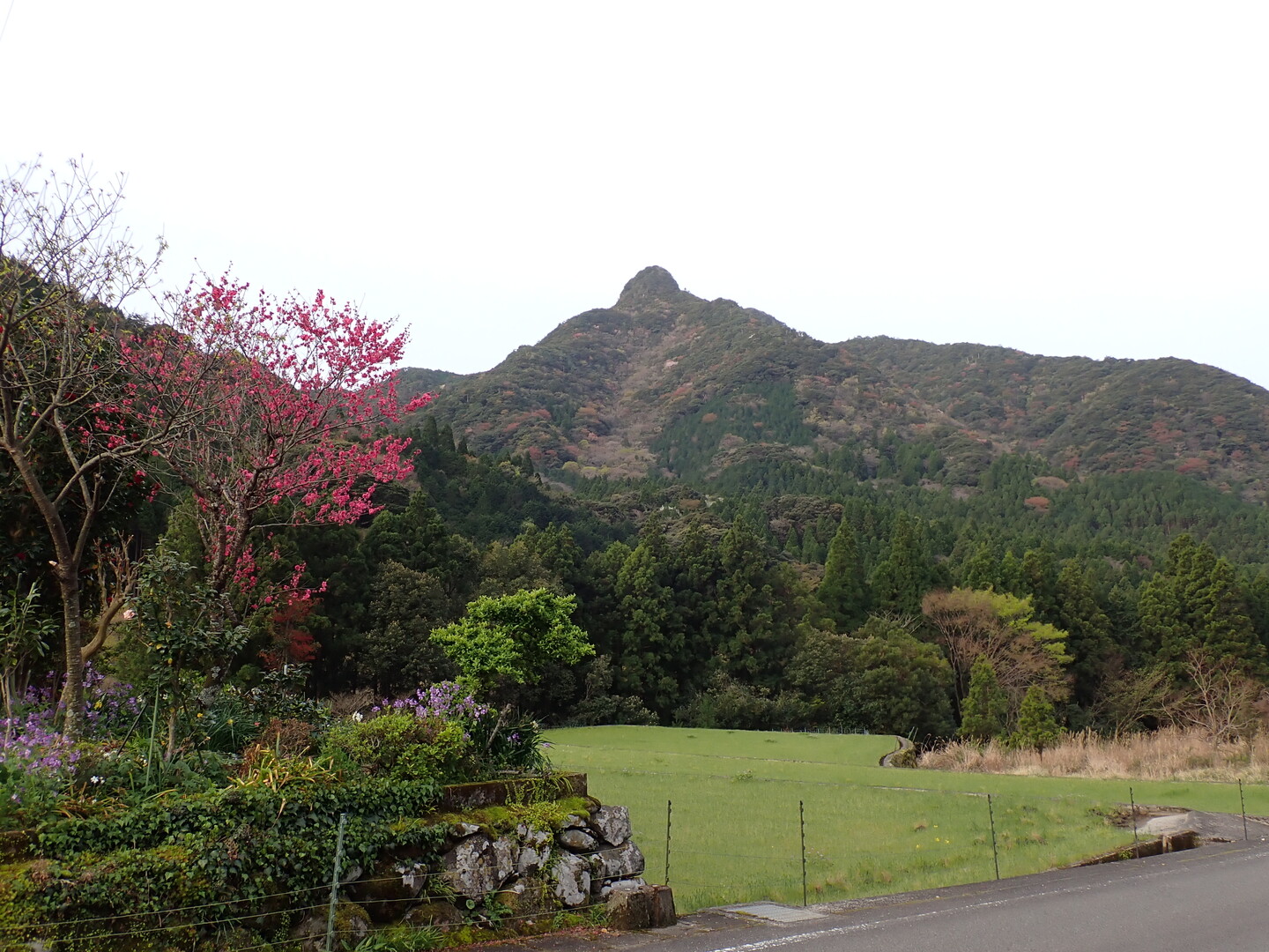 二合半岳～五家原岳 / 文太ROWさんの多良岳・経ヶ岳・五家原岳の活動データ YAMAP / ヤマップ