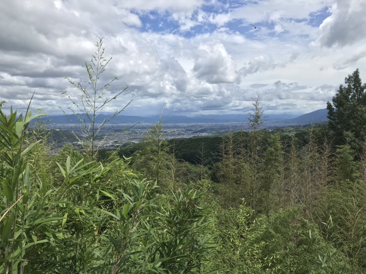 生駒山・神津嶽・大原山 伐採前は、この鉄塔の所が唯一、眺望ポイントでした。