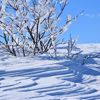 鳥海山・七高山・笙ヶ岳 綺麗すぎる😍