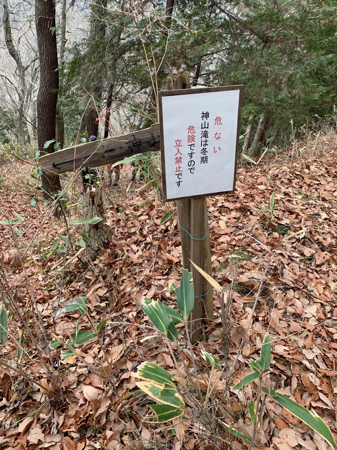 頭高山から神山滝 マルさんの高松山 松田町 山北町 大野山の活動日記 Yamap ヤマップ