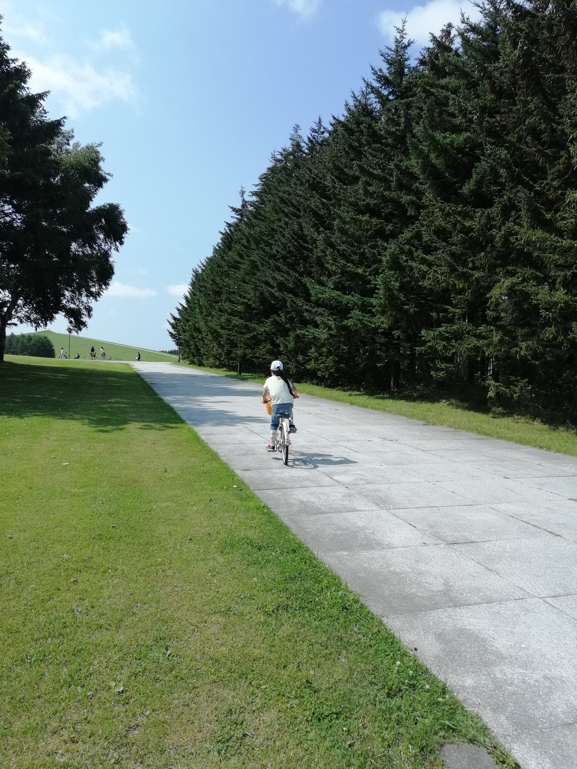 遊び山・モエレ山 / にゃんこにゃんこさんの札幌市の活動データ 