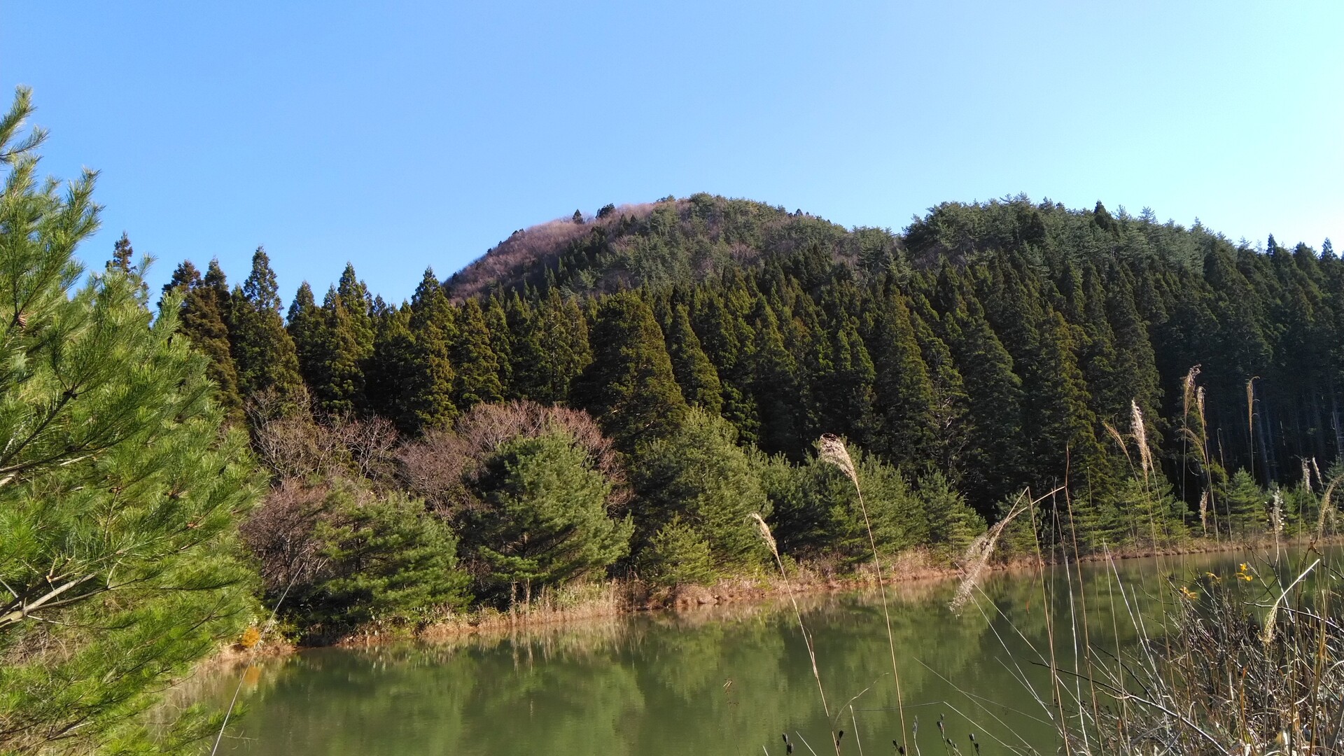 茂谷山20211209 能代市鶴形の山 / コーチ君さんの能代市の活動データ YAMAP / ヤマップ