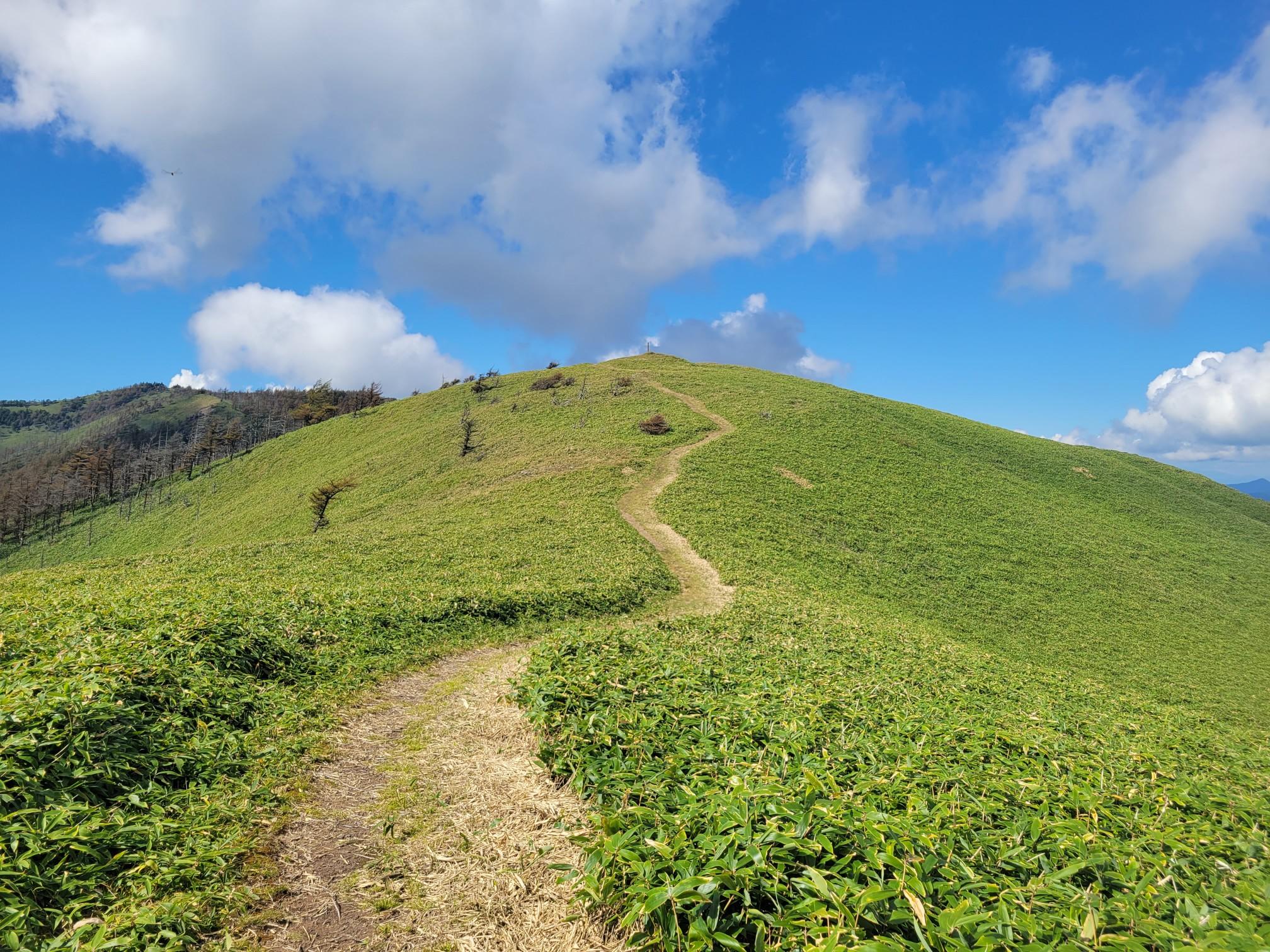 二ッ山（長野県岡谷市）の最新登山情報 / 人気の登山ルート