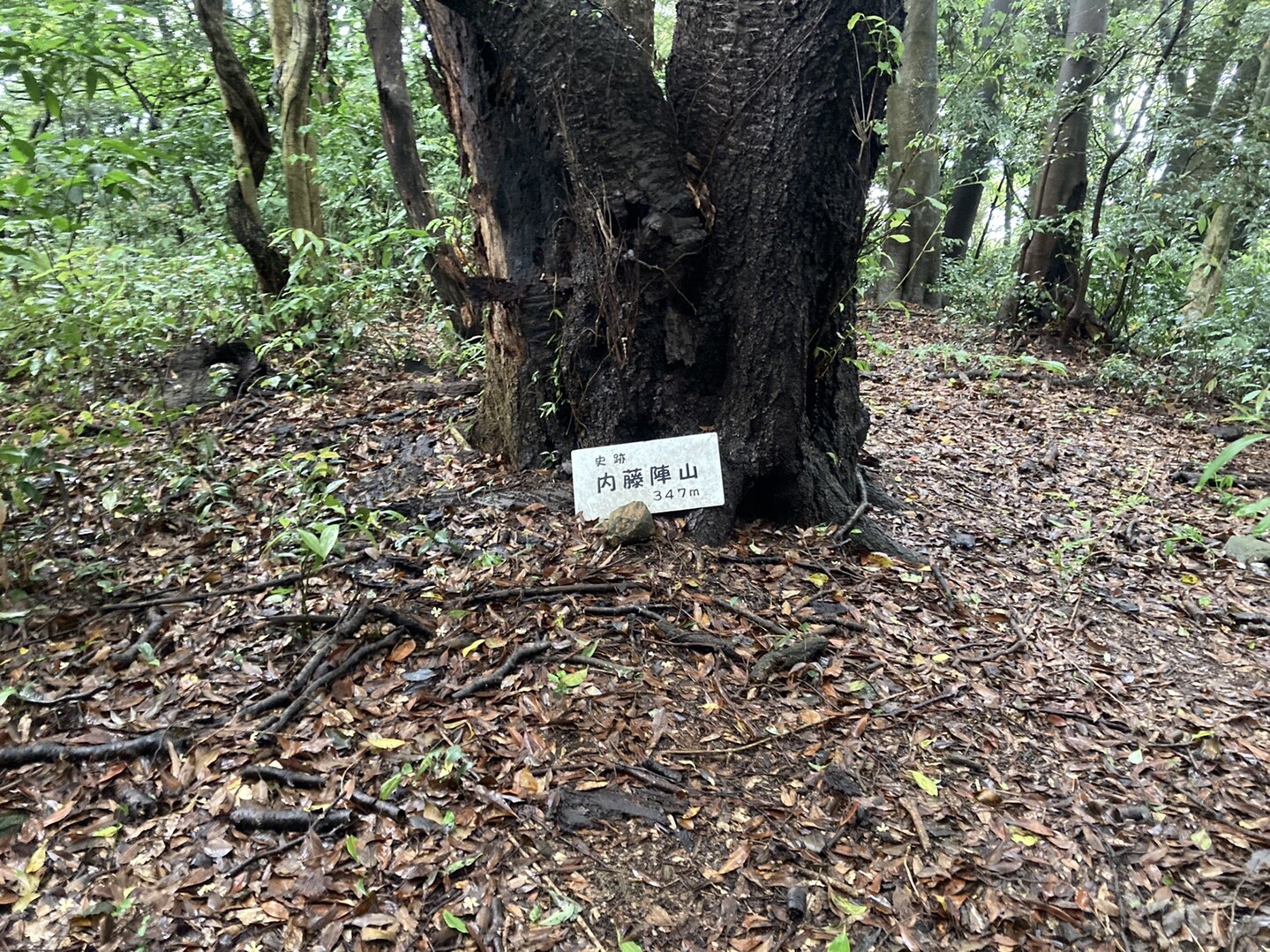 内藤陣山 福岡 の山総合情報ページ 登山ルート 写真 天気情報など Yamap ヤマップ