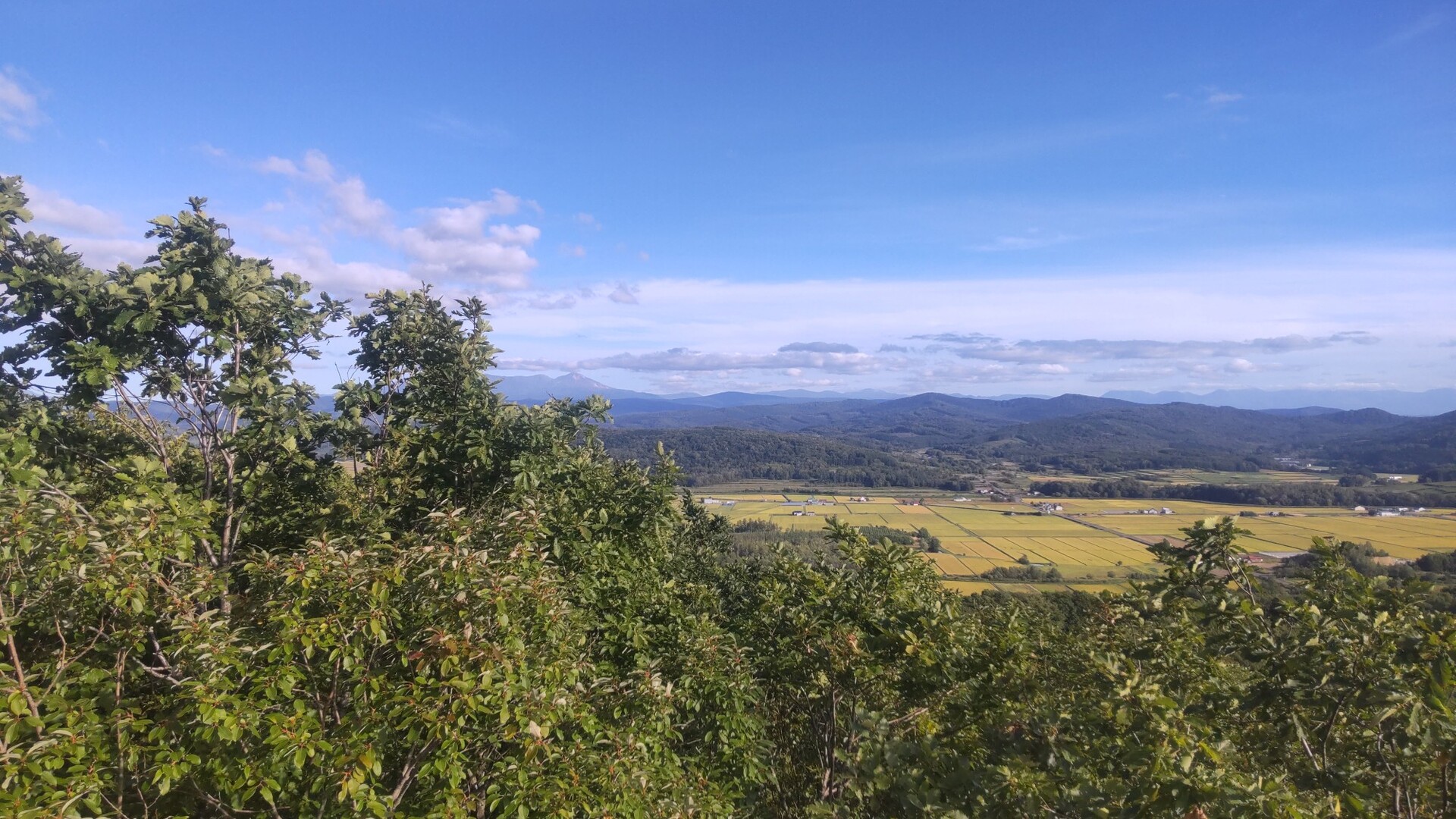当麻山 / kawa119さんの当麻山・将軍山の活動データ YAMAP / ヤマップ