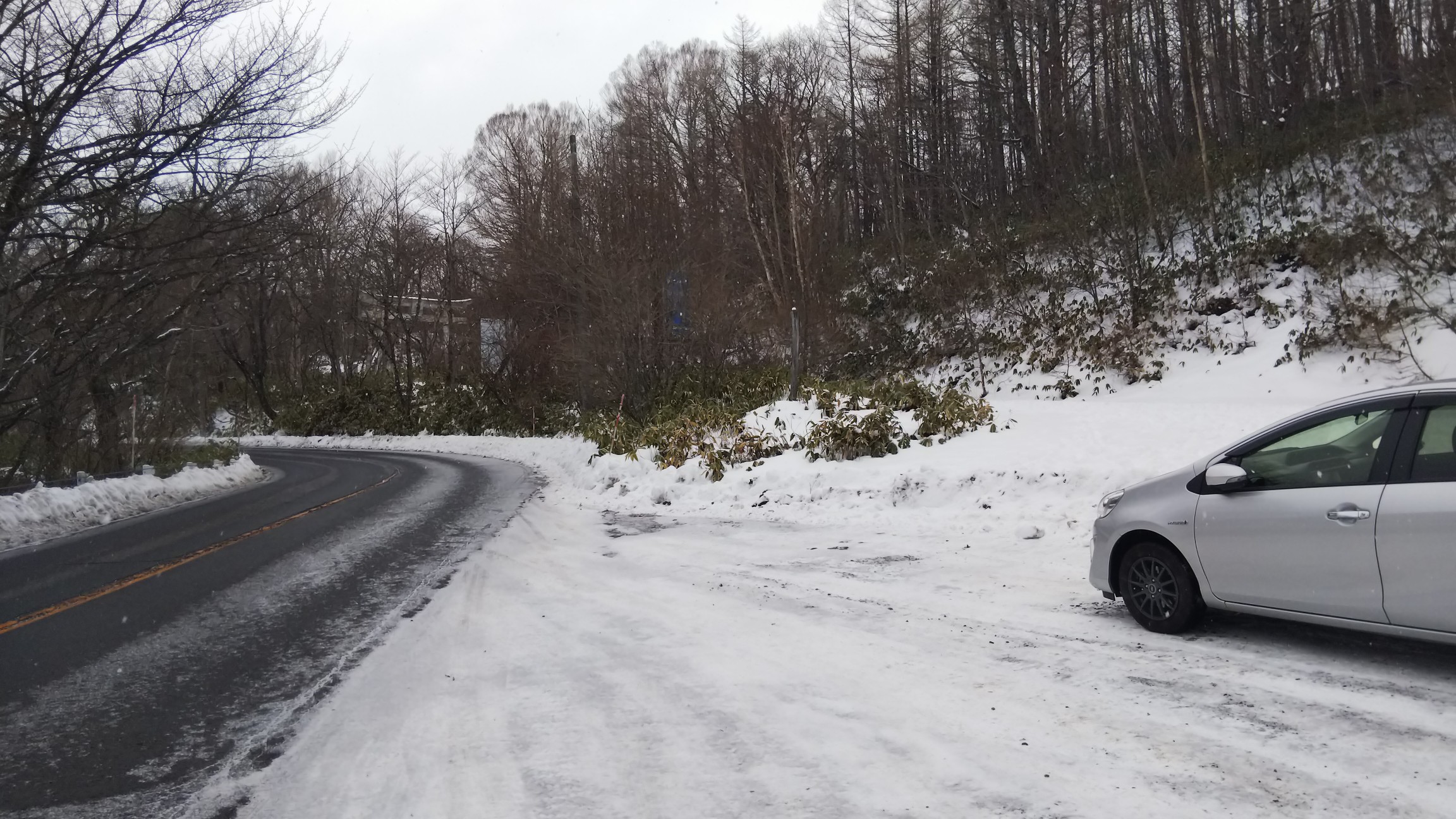 ここに車を停めます