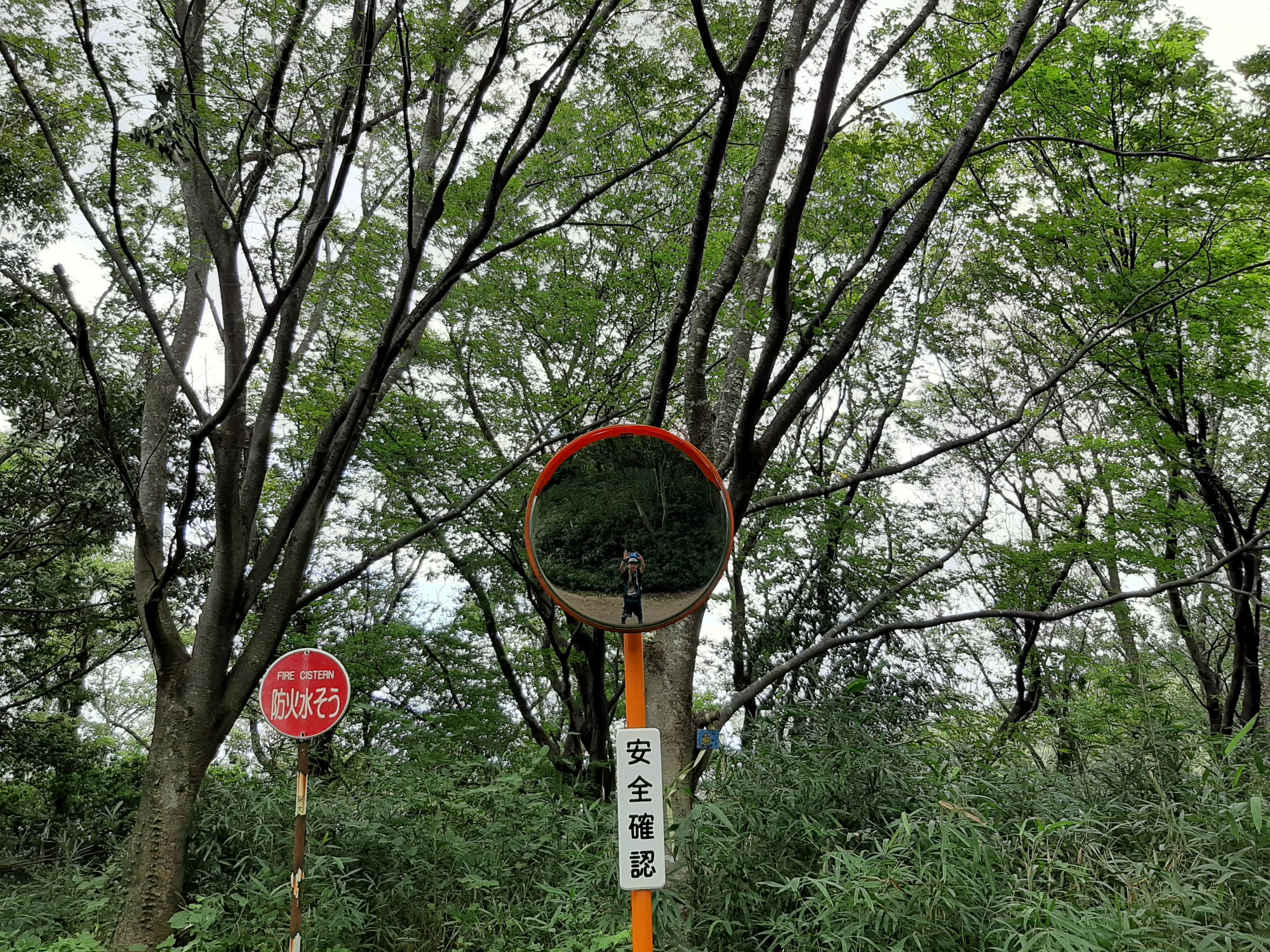生駒山 アブに会わず カフェにも会えず Yasuの登山さんの生駒山 神津嶽 大原山の活動データ Yamap ヤマップ