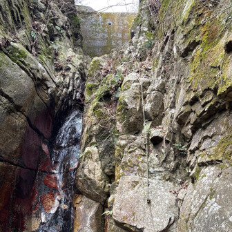 六甲山・長峰山・摩耶山 右側を直登します。
この上りが難関パート2
足掛けるところ無いのと疲れてるので随分苦戦しました。