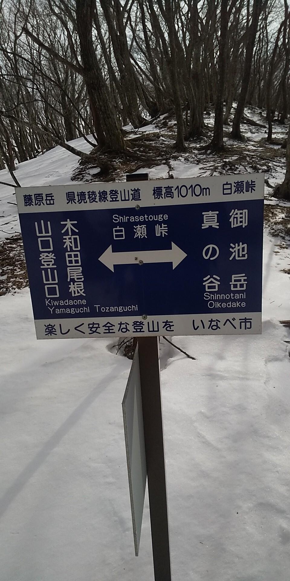白瀬峠は未だ冬 / mokoさんの藤原岳・御池岳の活動データ YAMAP / ヤマップ