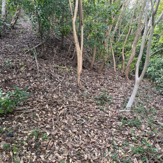 飯塚市 →分岐のような？
地下が怖いので寄らない…😑