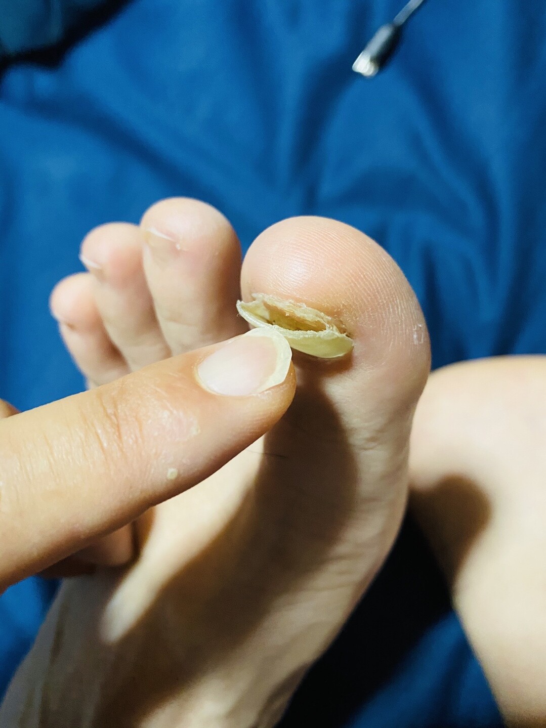 朝ラン 始めました 蒼いうさ と白いにゃんこ さんの新潟市の活動日記 Yamap ヤマップ