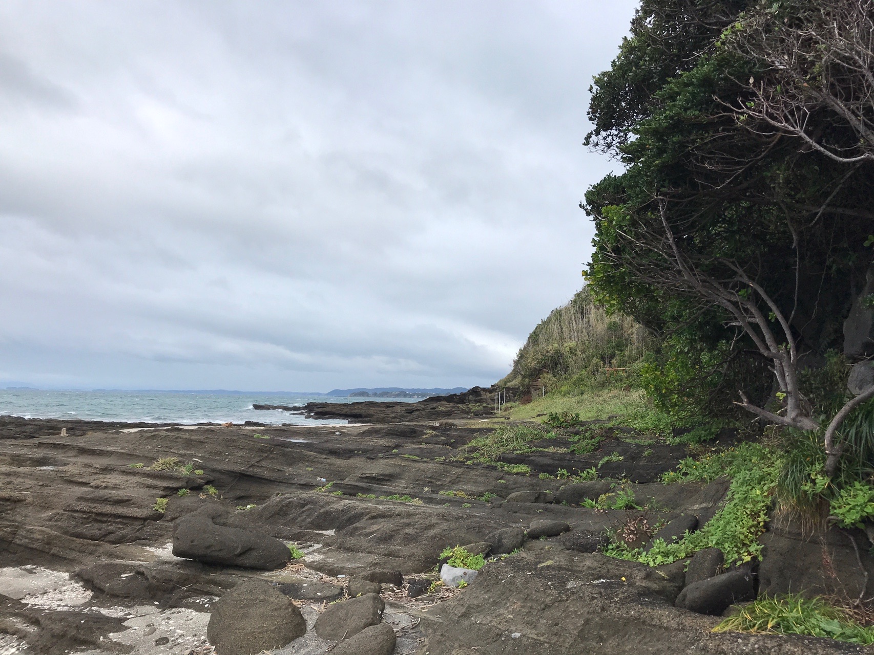 油壺から城ヶ島を目指す げるかとさんの三浦市の活動日記 Yamap ヤマップ