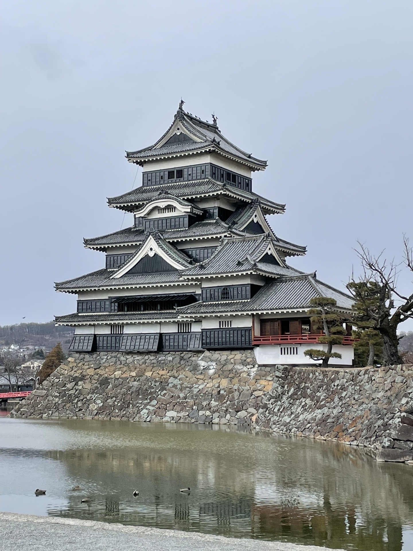松本城 松本市アルプス公園 えみさんの松本市の活動日記 Yamap ヤマップ