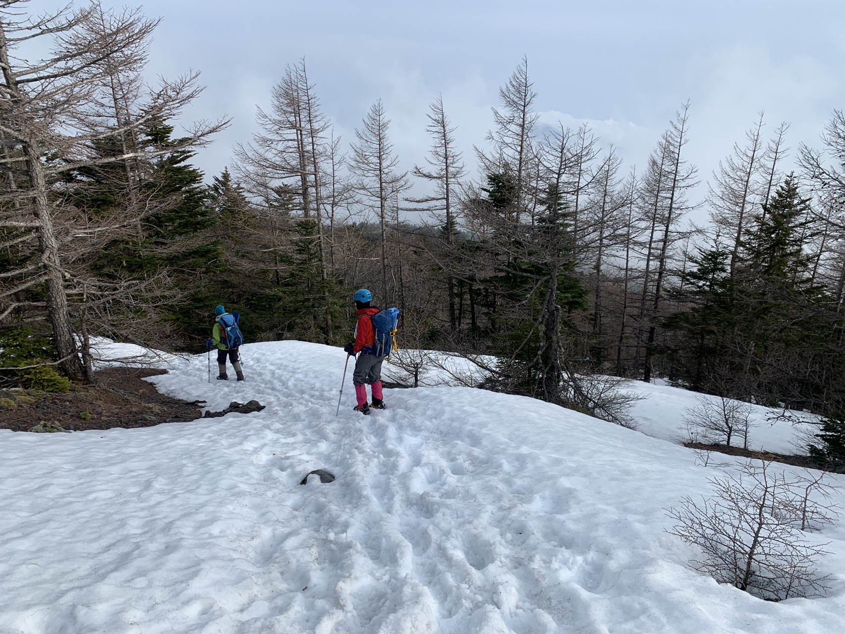 春なのに雪山訓練 弱層テストやら支点構築いろいろ カワユス スノーボラードとか 艸 ｳﾌ Su Niiyanさんの富士山の活動データ Yamap ヤマップ