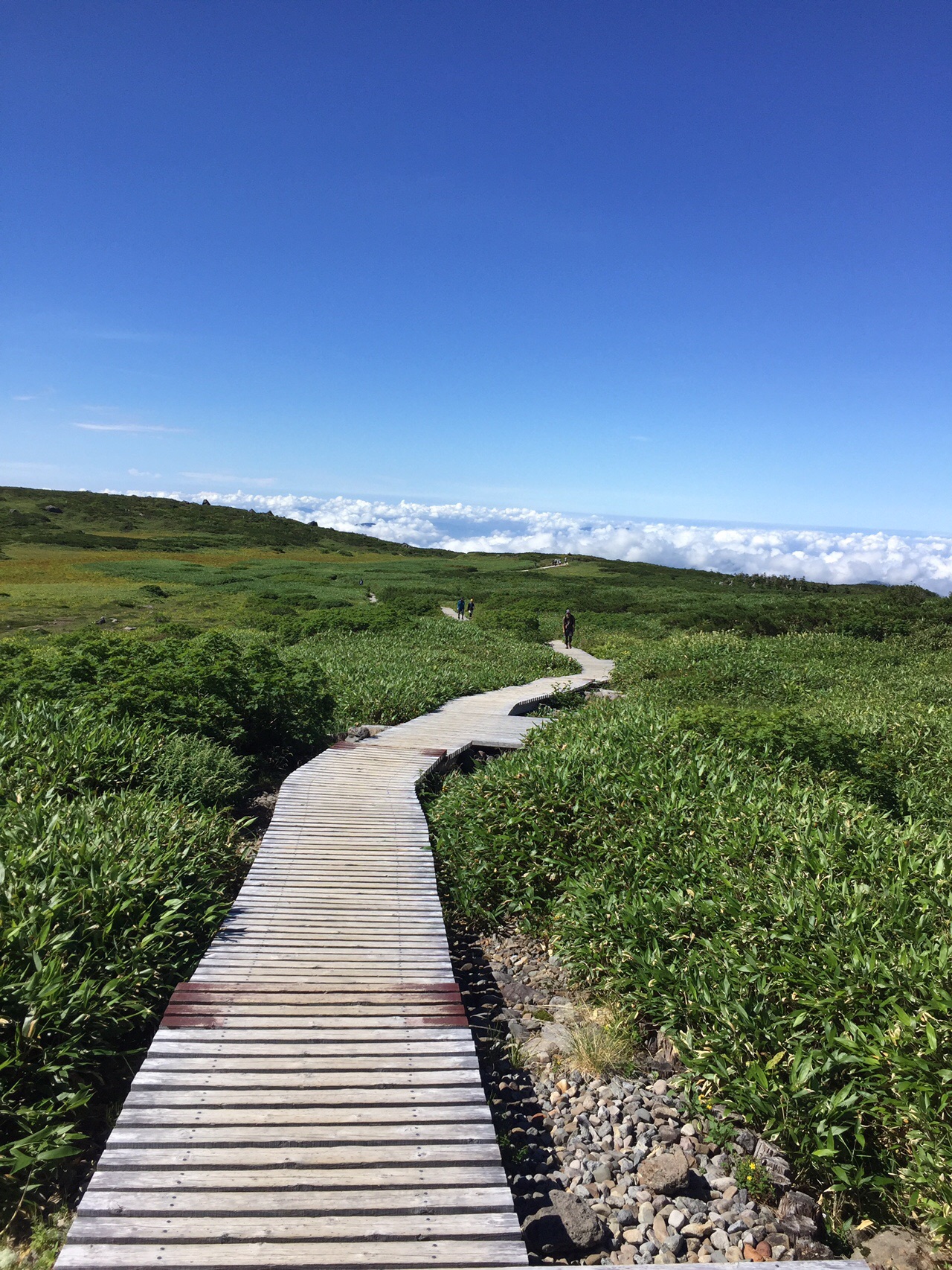 白山 御前峰 カミカズさんの白山 別山 銚子ヶ峰の活動データ Yamap ヤマップ