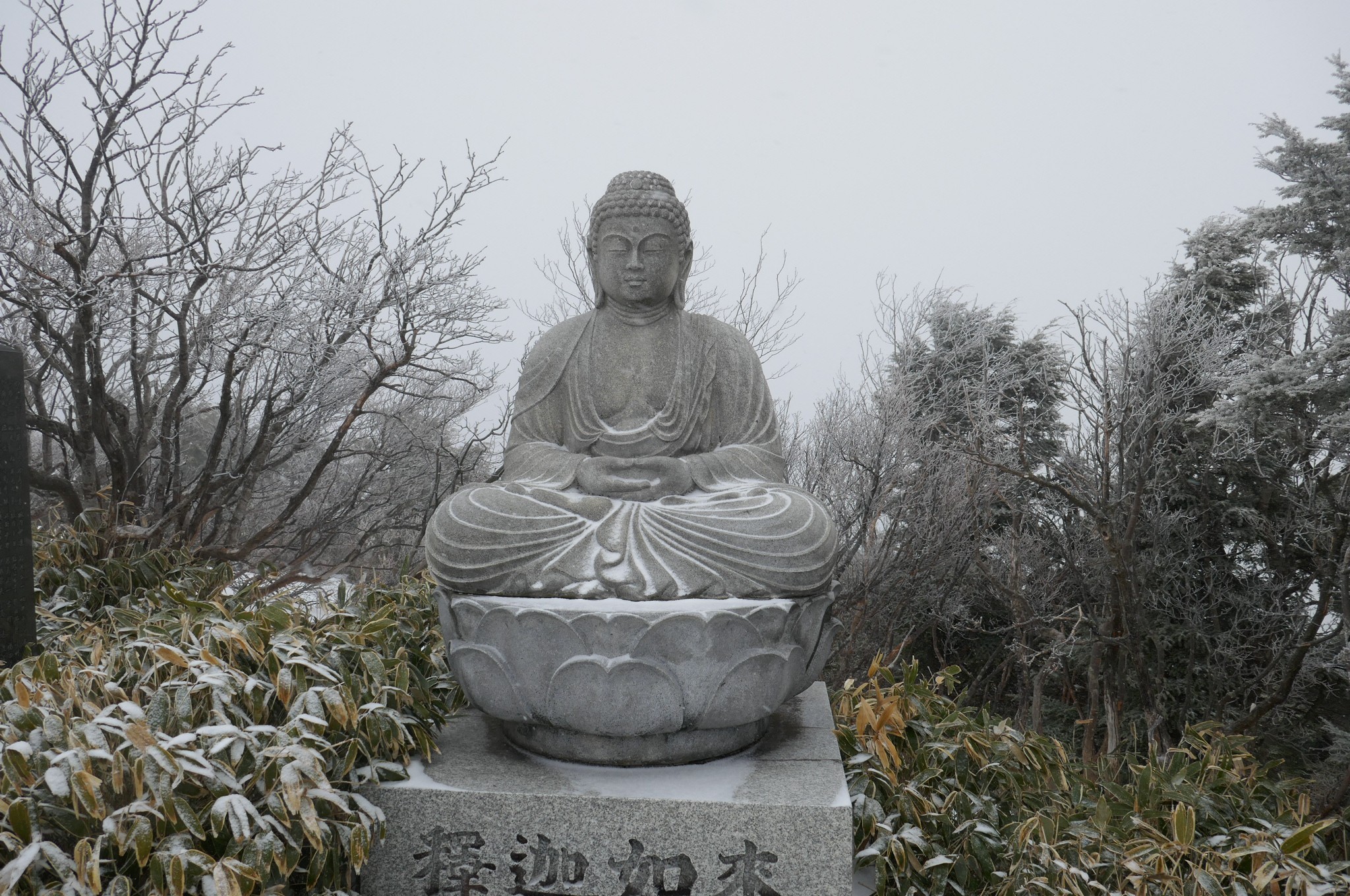 下山あるあるな釈迦 中 西平岳周回 04 05 せりさんの高原山 釈迦ヶ岳 鶏頂山の活動データ Yamap ヤマップ