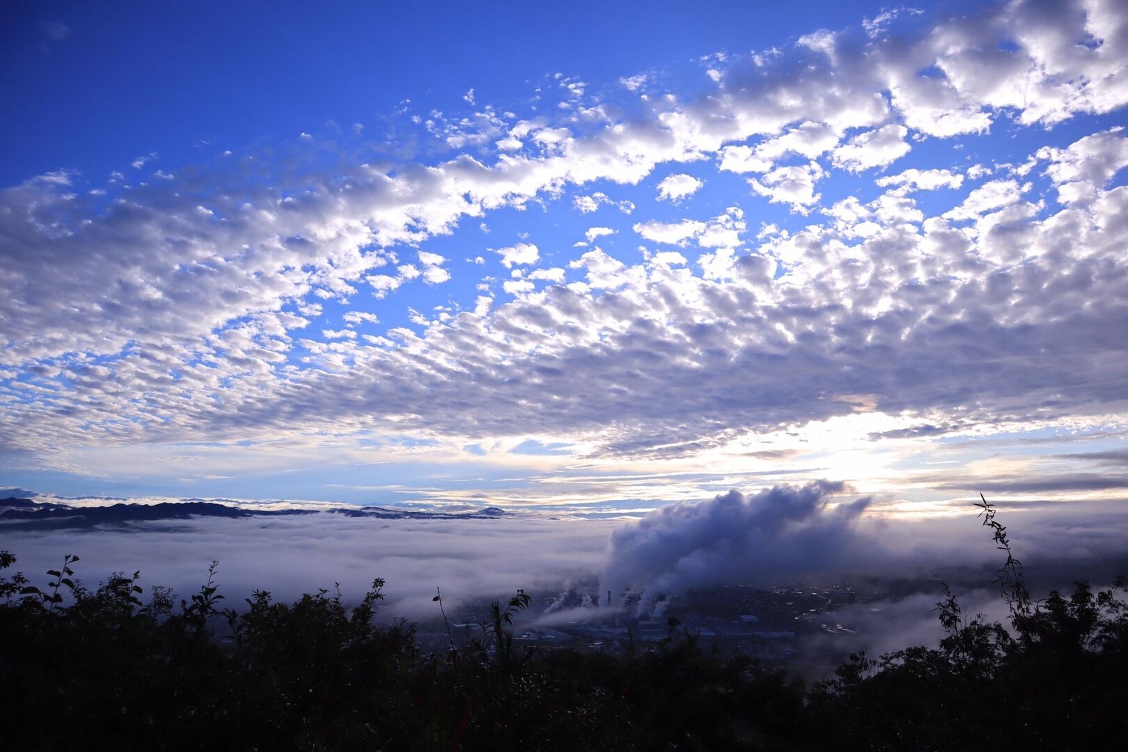 鳩吹山 / つじひさんの鳩吹山の活動データ YAMAP / ヤマップ