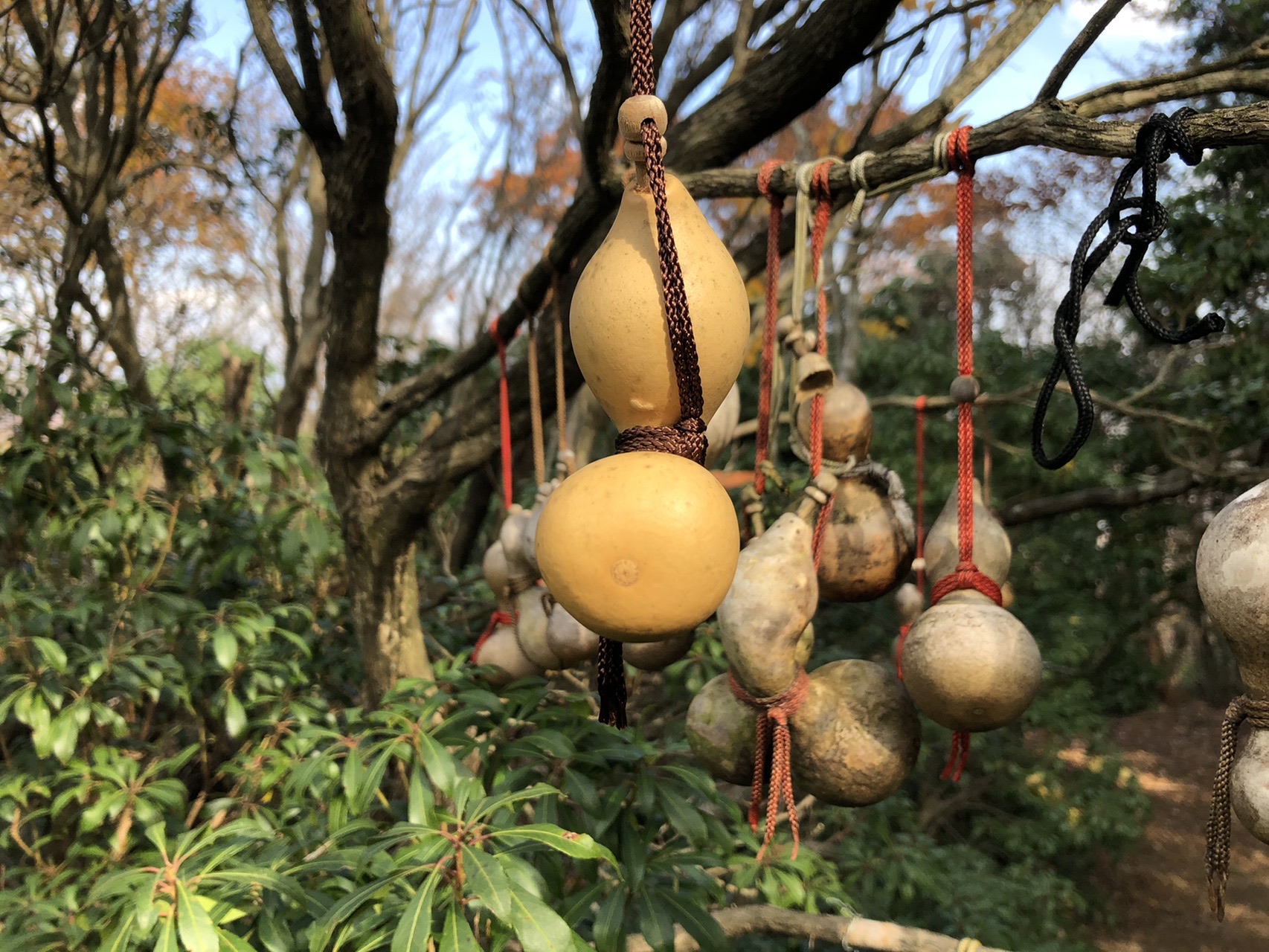 養老山 三方山 小倉山 交通安全協会駐車場スタート なんなるするさんの養老山 岐阜県 笙ヶ岳 三方山の活動データ Yamap ヤマップ