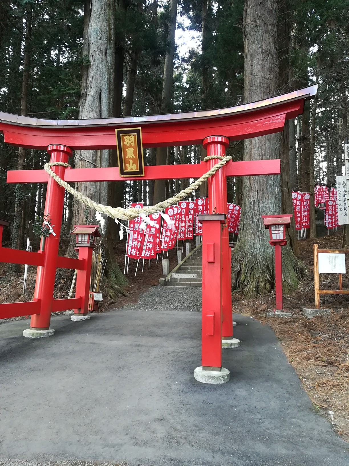 ロウバイを見たくて 羽黒山 Akiさんの羽黒山 栃木県 の活動データ Yamap ヤマップ