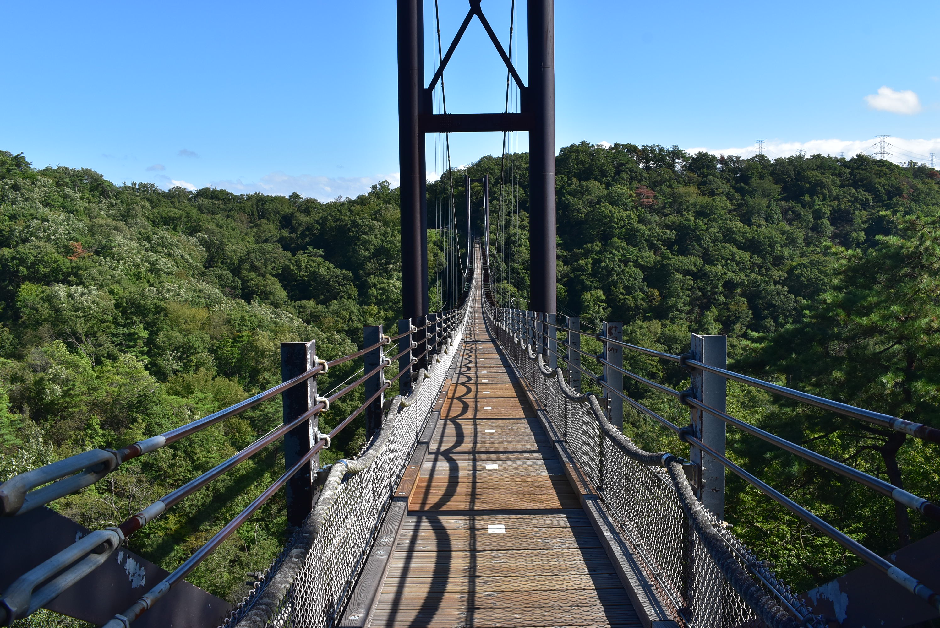 ほしだ園地の 星のブランコ 標高18 やまごえさんのモーメント Yamap ヤマップ