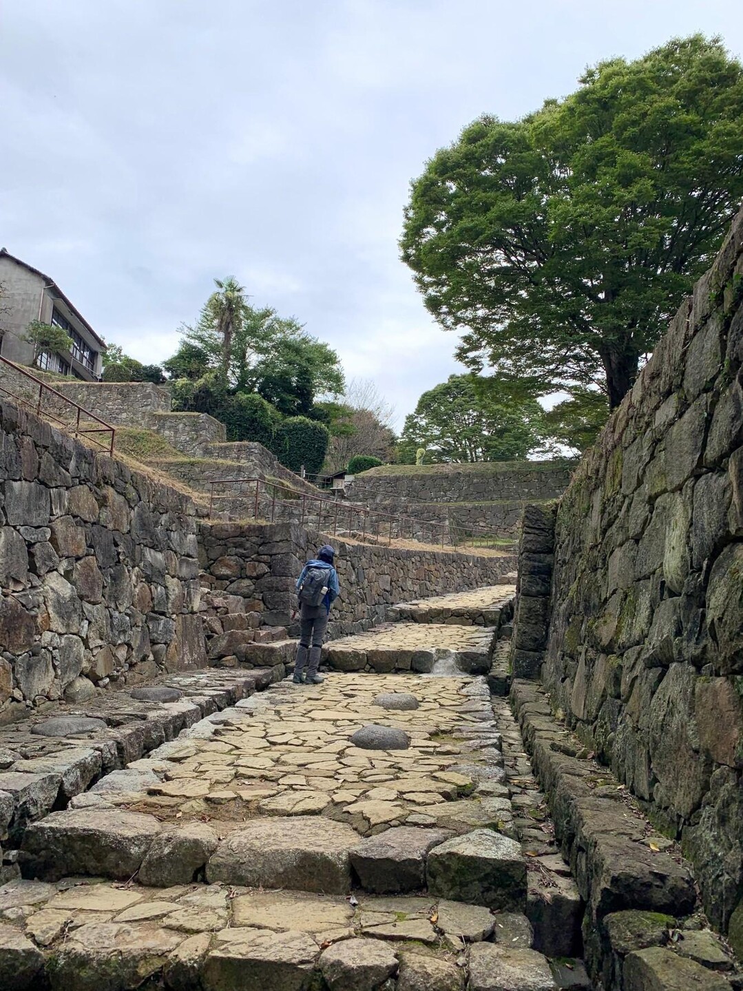 群馬の山を登ろう！キャンペーン金山城跡 / まめちゃんさんの金山（新田金山）・八王子丘陵の活動データ YAMAP / ヤマップ