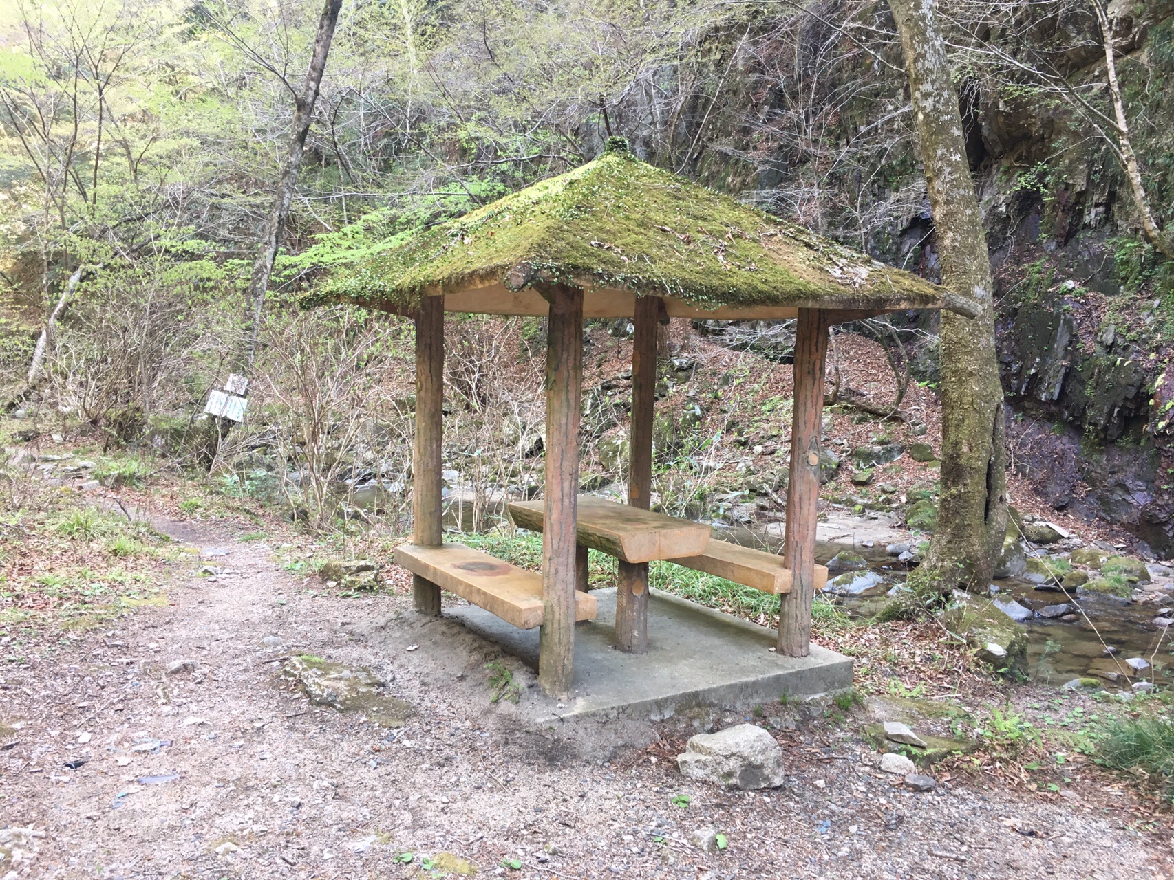 いわき市 夏井川渓谷 背戸峨廊 19 04 けんさんのいわき市の活動データ Yamap ヤマップ