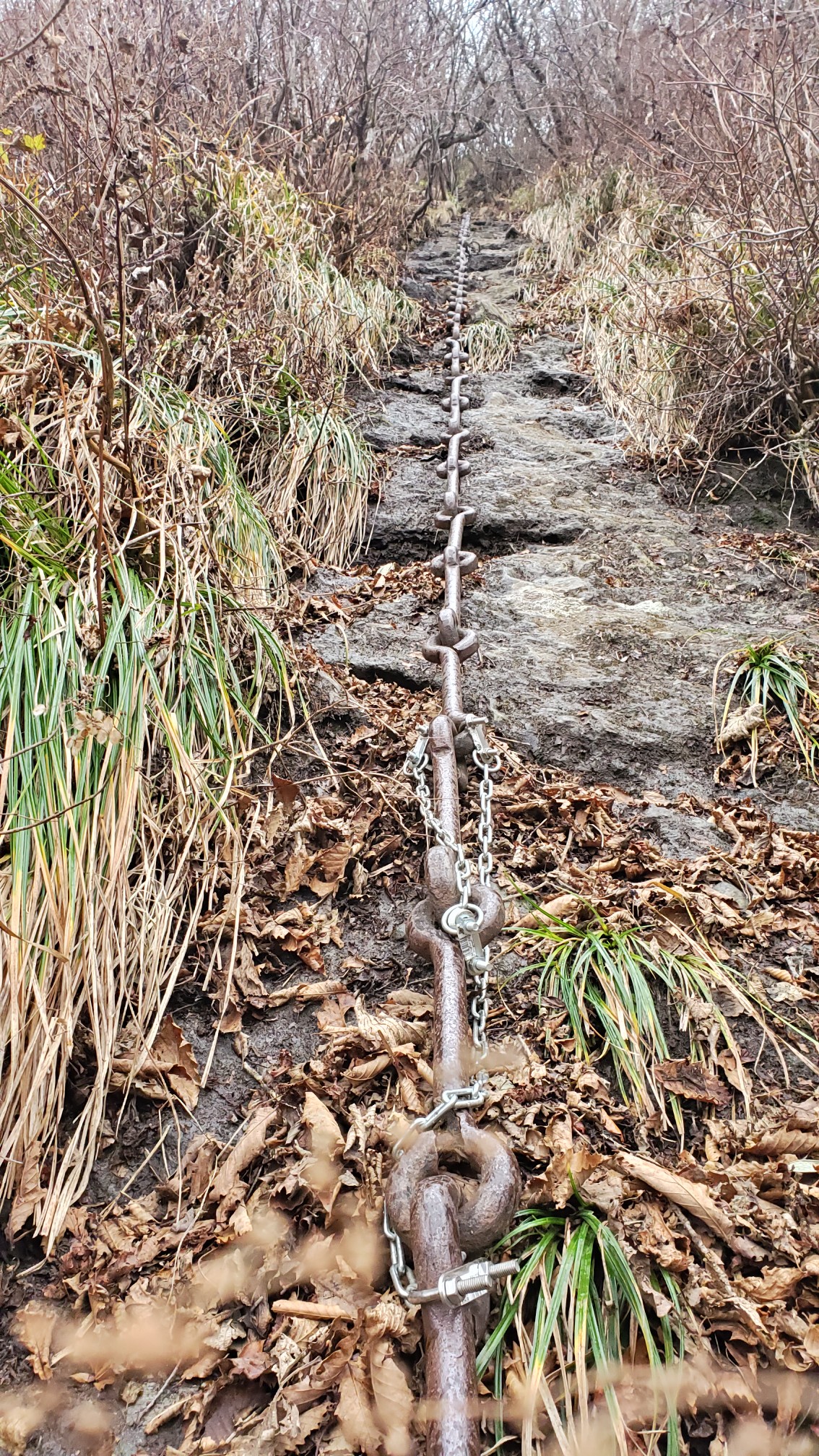怖っ 全長80ｍの雨の鎖場 子持権現山 Keiさんの瓶ヶ森 伊予富士の活動データ Yamap ヤマップ