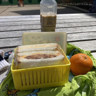 小牧山 お弁当を作ってきたので山頂で食べて帰ります。