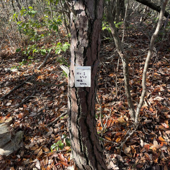 各務原アルプス（関南アルプス）・八木三山 第一ピーク