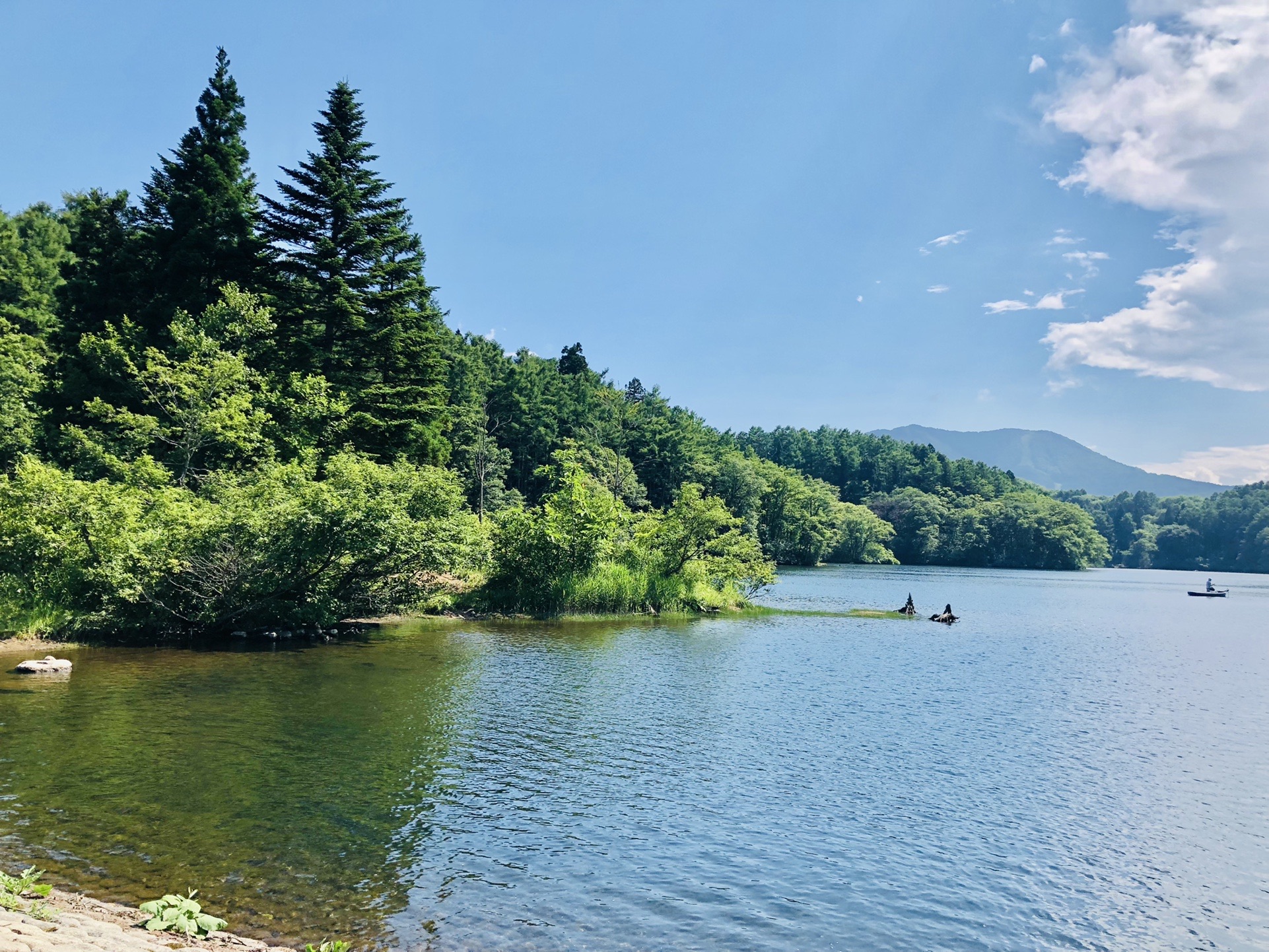 希望 のぞみ 湖一周 2 5kmコース 信越トレイル 斑尾山 赤池 希望湖 22 07 30 いけちゃんさんの斑尾山 信越トレイル 斑尾山 赤池 希望湖 の活動データ Yamap ヤマップ