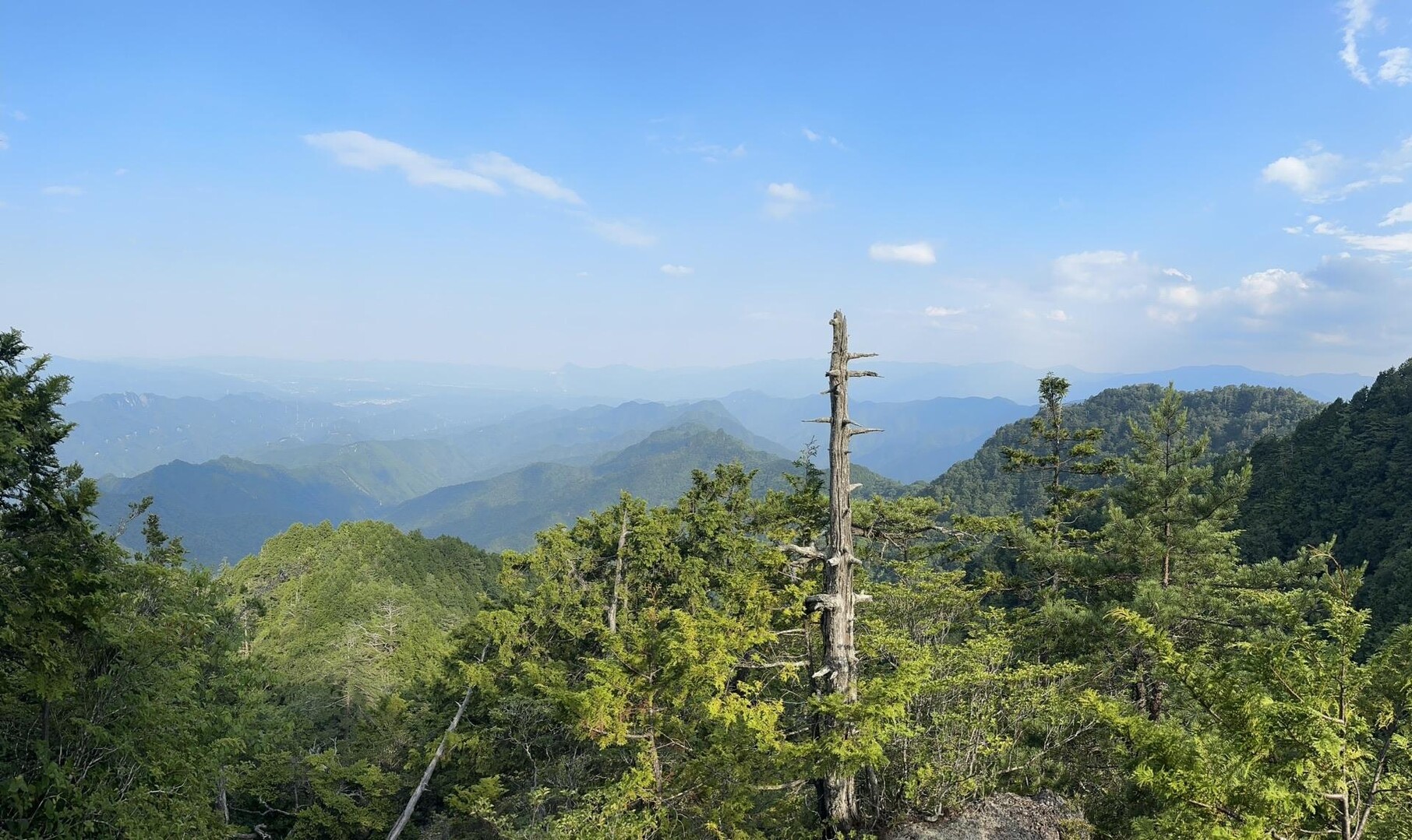 両神山（諏訪神社跡→天理岳→天武将尾根→両神山） Beer141さんの両神山・諏訪山・二子山の活動日記 Yamap ヤマップ 