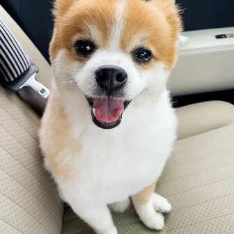 えんり
