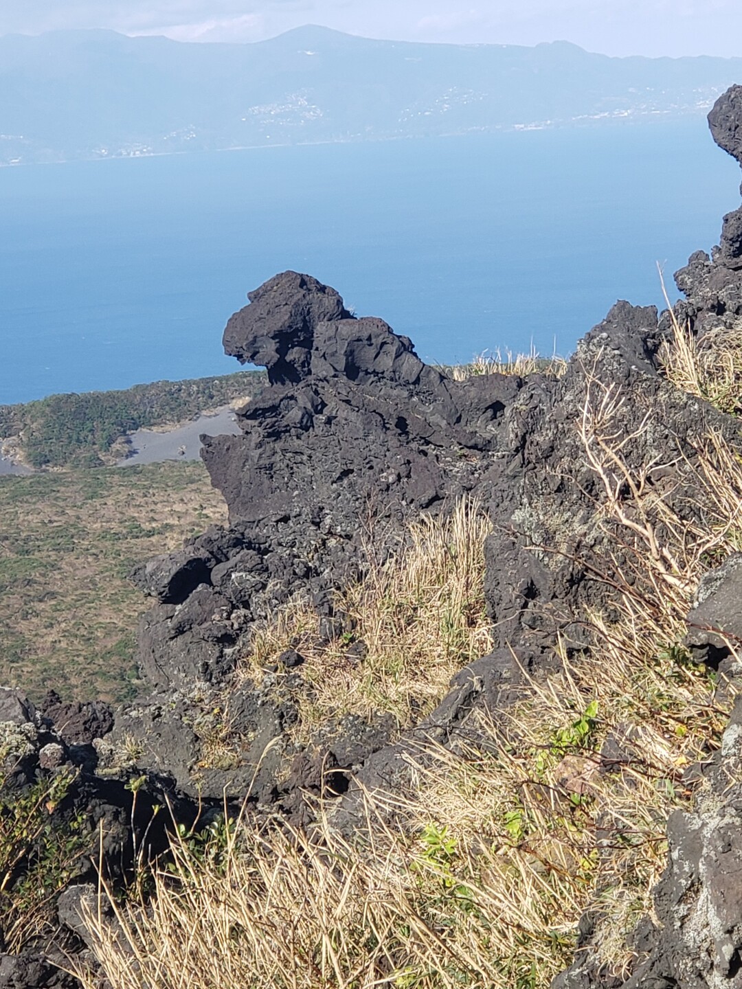 ゴジラここに眠る 伊豆大島 三原山 伊豆大島 三原山の写真16枚目 これがゴジラ岩か Yamap ヤマップ