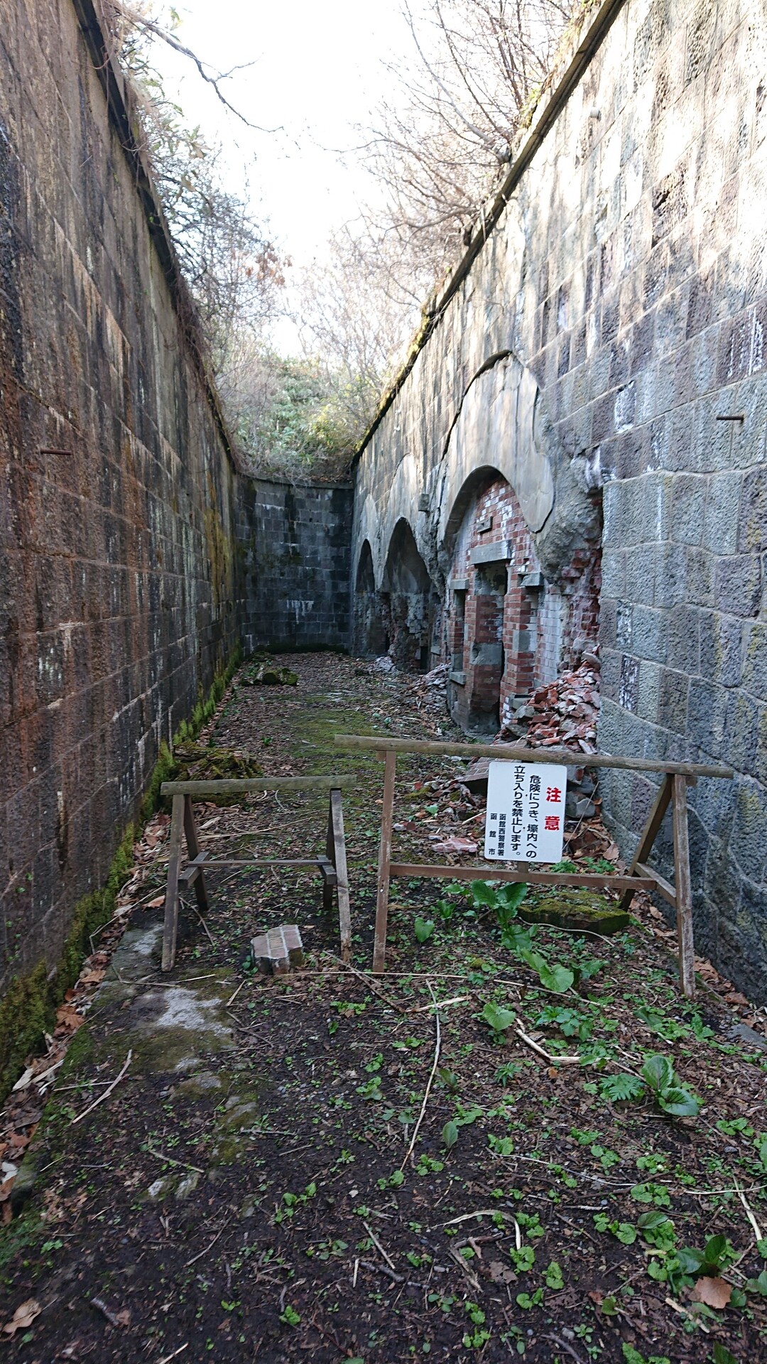 函館山ランドマーク山行 ふじやんさんの函館山の活動日記 Yamap ヤマップ