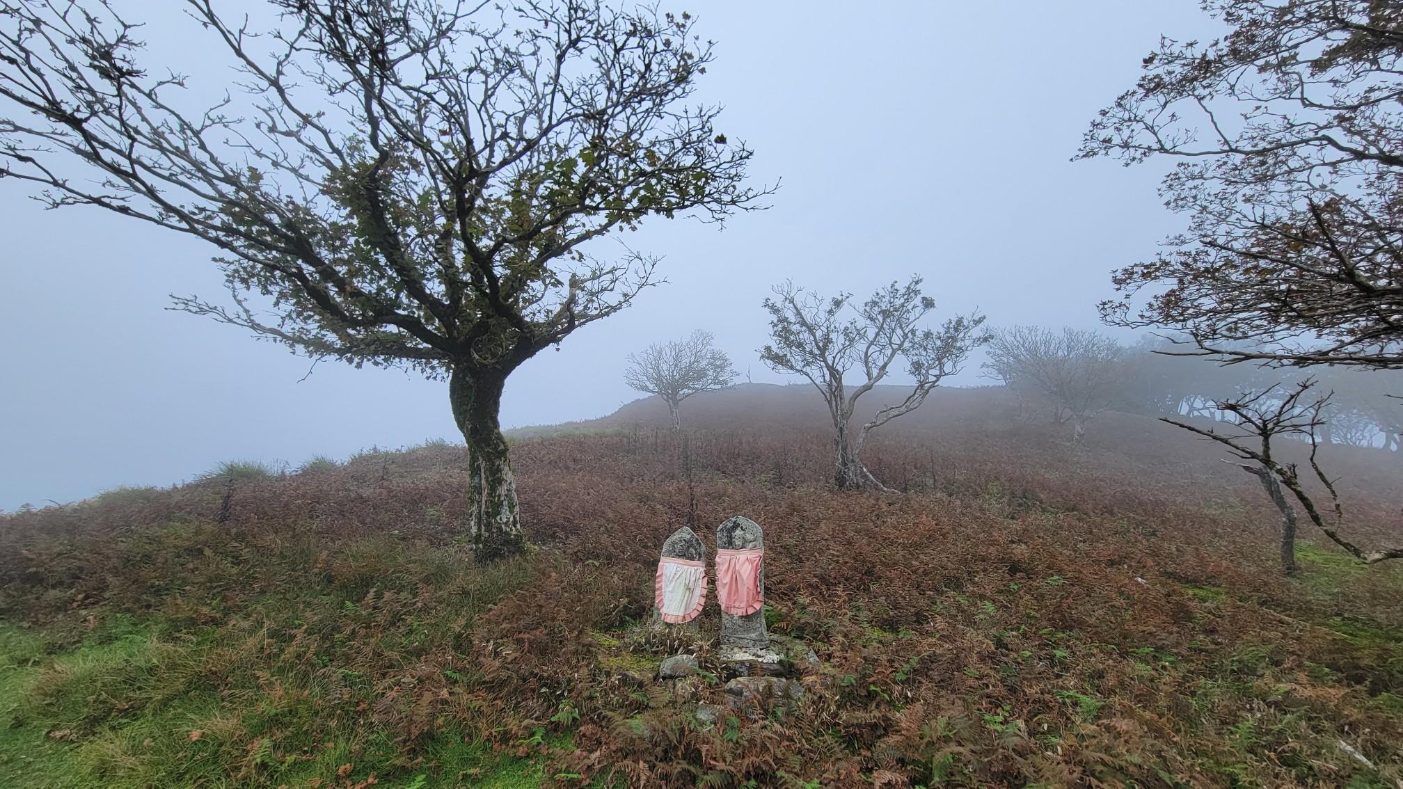 蓬莱山（滋賀） | YAMAP / ヤマップ