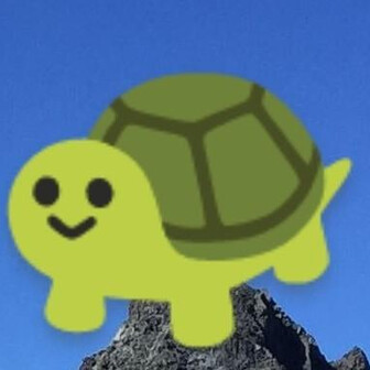 かめさんチーム