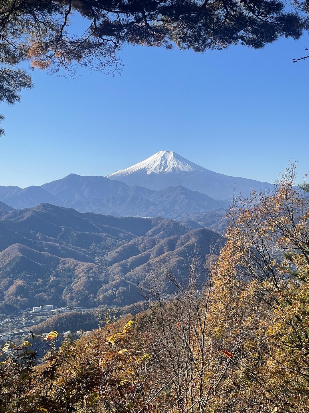 百蔵山〜扇山 / ナオミさんの百蔵山・扇山・権現山の活動データ | YAMAP / ヤマップ