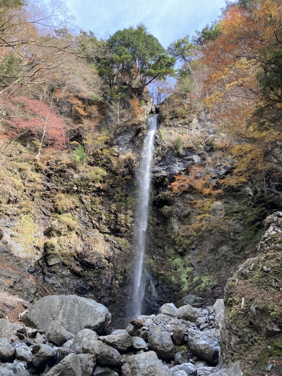 徳島県木頭.大明地～杉生山～新九郎山～久井谷林道～黒滝 / やまごんさんの不入山・久井谷山の活動データ YAMAP / ヤマップ