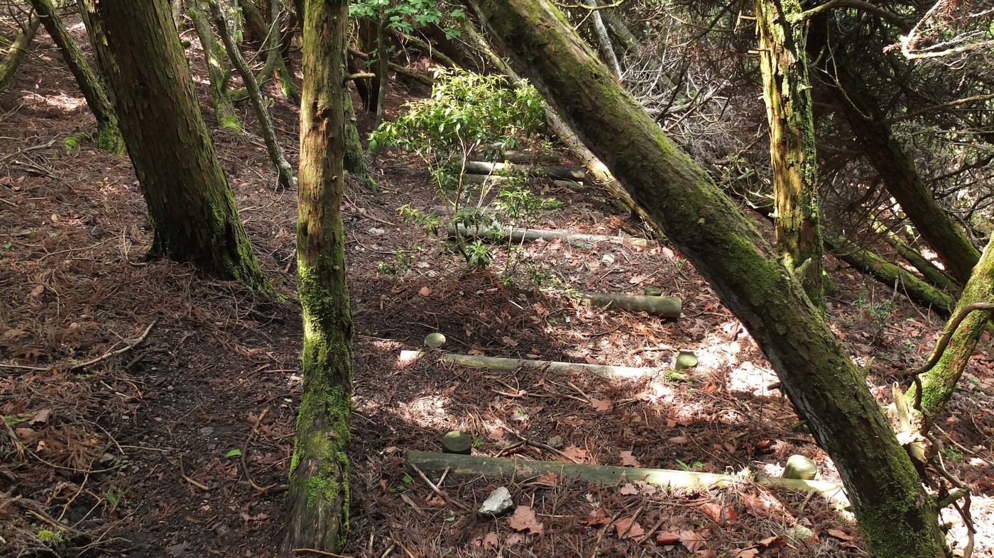 万年山 吉武台牧場 お花畑 山頂 九州自然歩道周回 大分屋３さんの万年山 伐株山の活動日記 Yamap ヤマップ