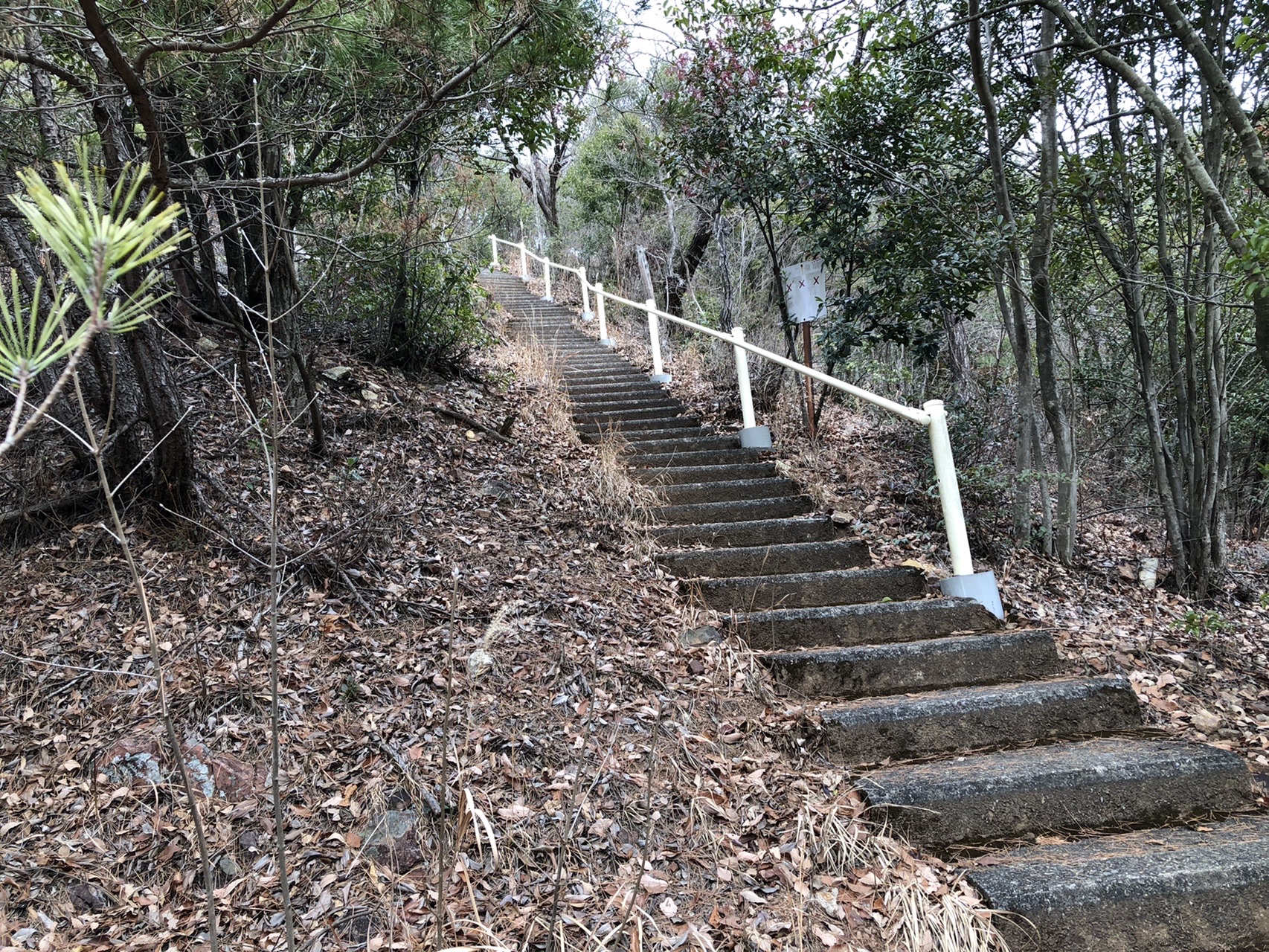 各務原アルプス 八木三山 01 16 たけのこ Zi Ziさんの各務原アルプス 八木三山の活動日記 Yamap ヤマップ