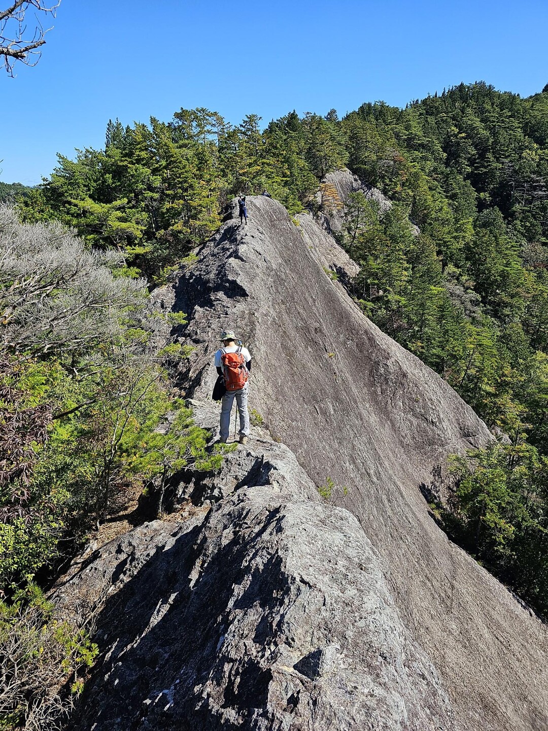 いつもの明神山 / 明神一筋さんの明神山（三ツ瀬明神山）の活動データ YAMAP / ヤマップ