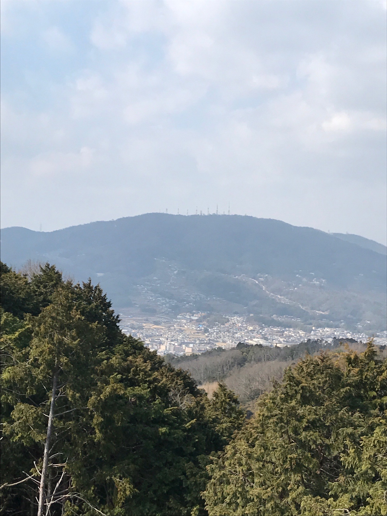 矢田丘陵 生駒から王寺まで Iwanemanさんの矢田丘陵 法隆寺の活動日記 Yamap ヤマップ