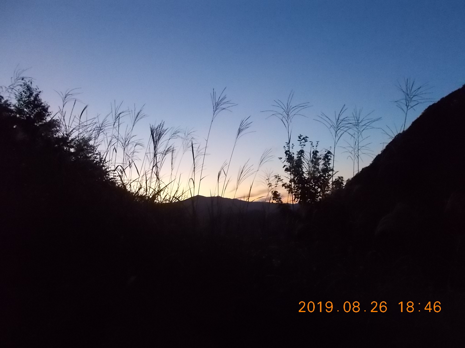 澄んだ青い空の下 すすきを眺めて進み 野生動物の気配におののきながら ブンゲン登頂 たかさんのブンゲン 射能山 の活動日記 Yamap ヤマップ