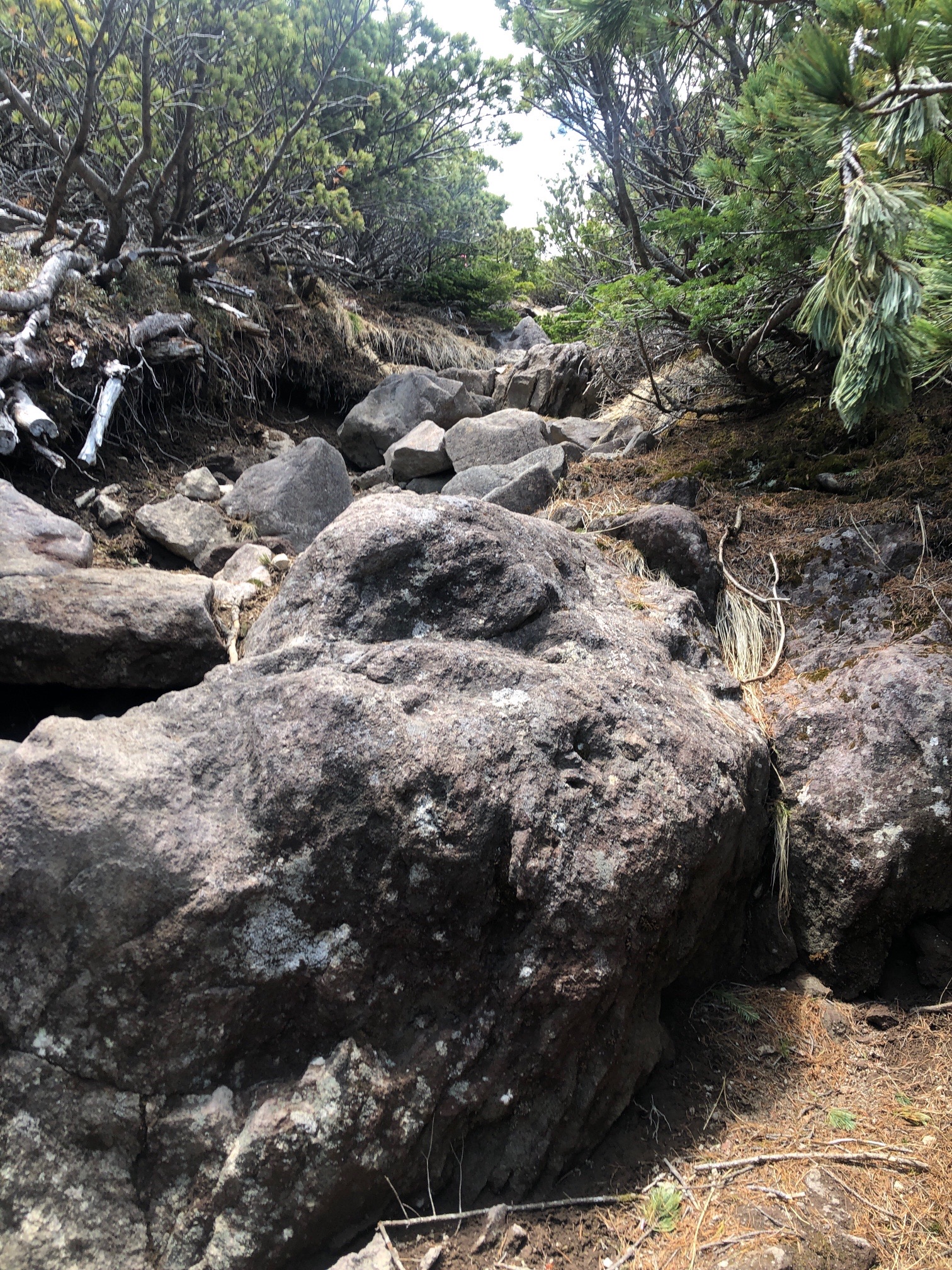 辞めて帰りたくなるような、急登の岩登り