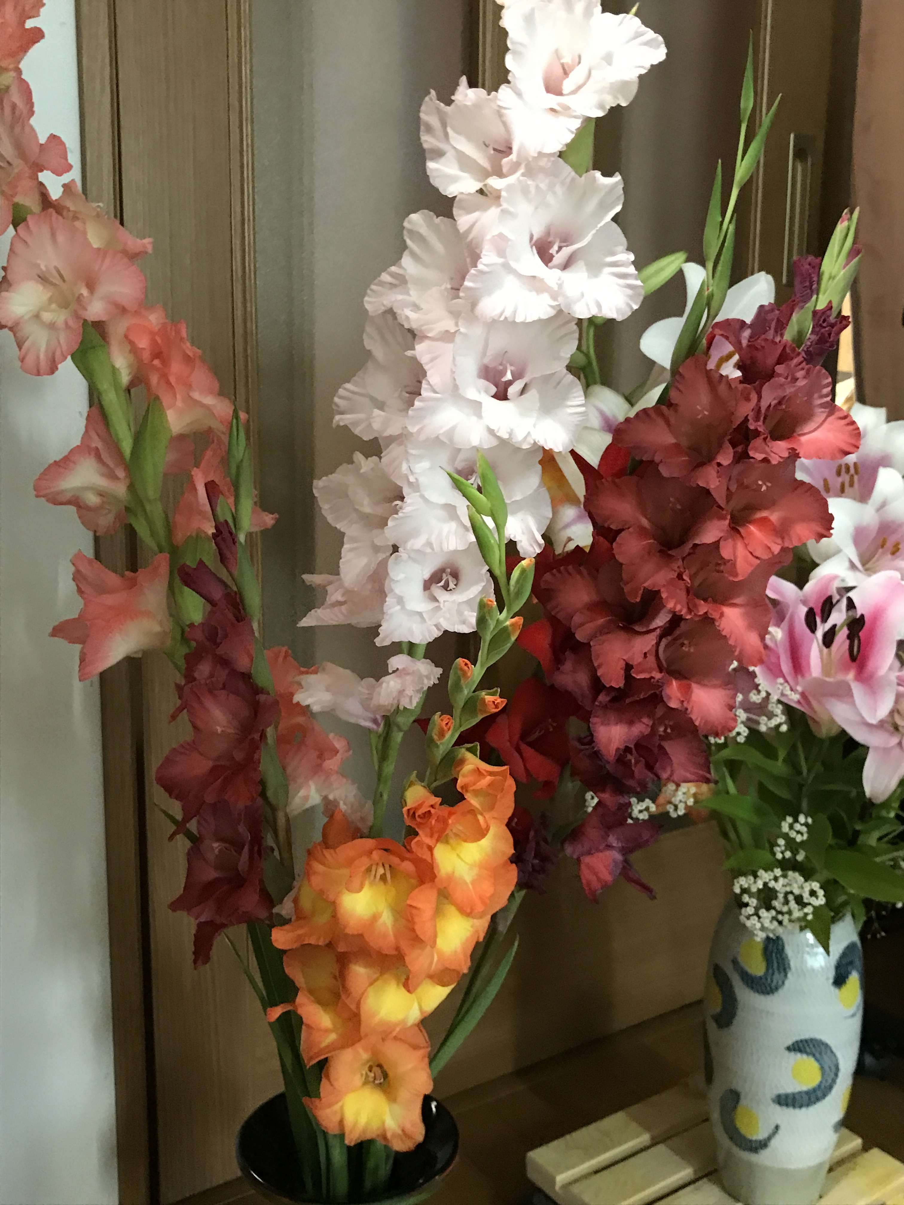 紫の畑 21 6 30 父が好きだ Yamamurasakiさんのモーメント Yamap ヤマップ