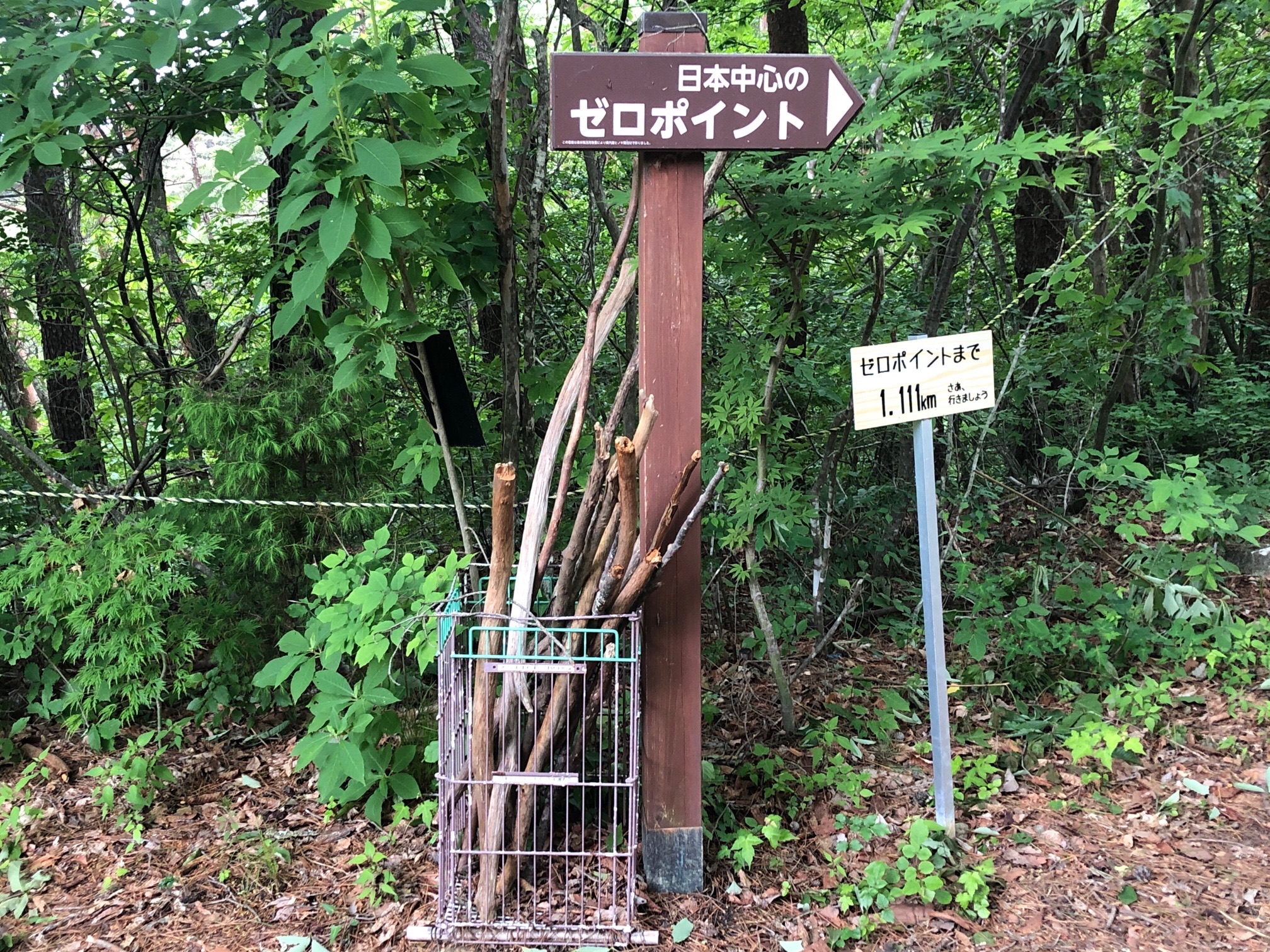 駐車場に、親切な杖、あった🤭